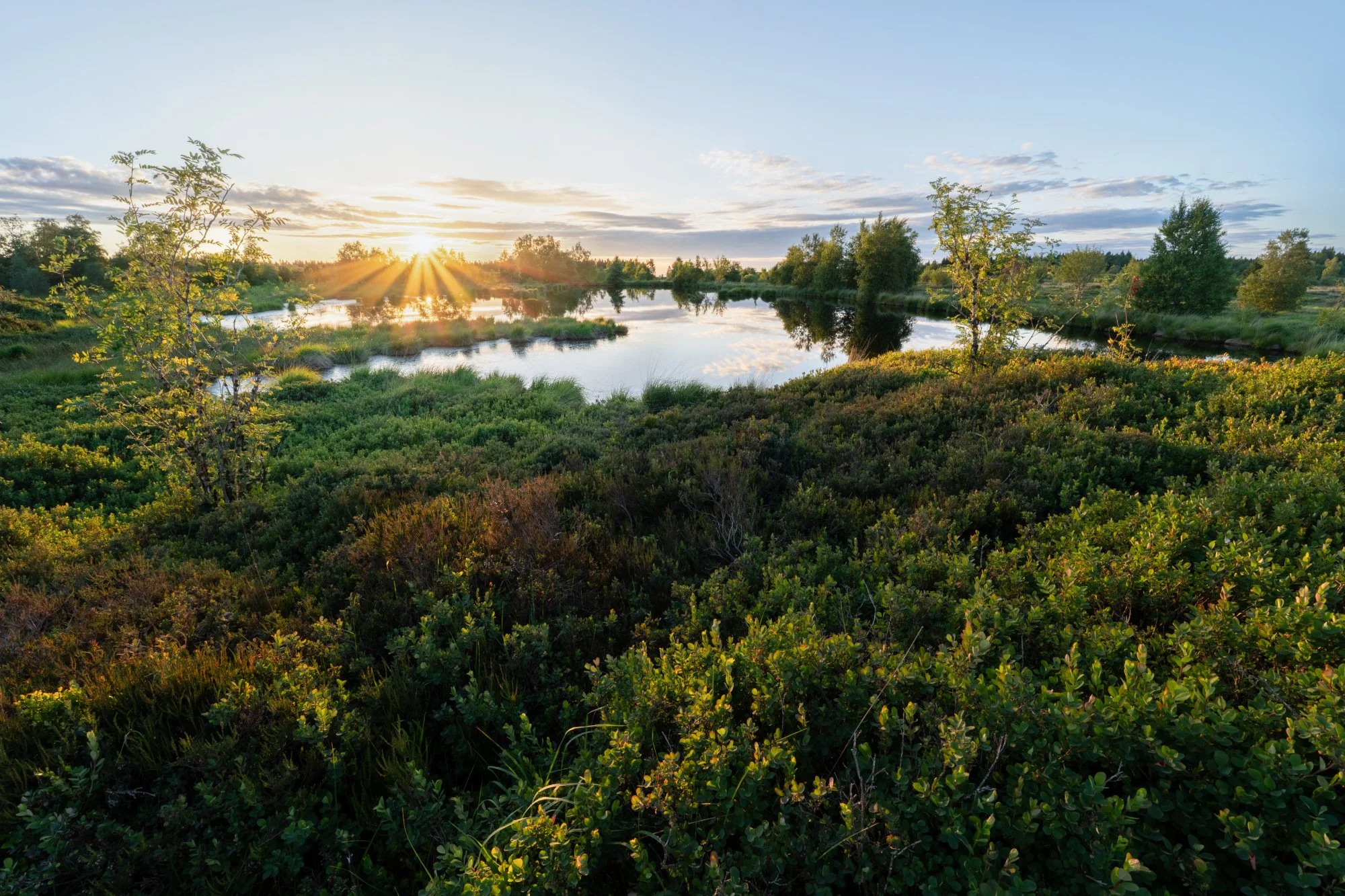 Videofreitag: Sonnenaufgang und -untergang im Hohen Venn