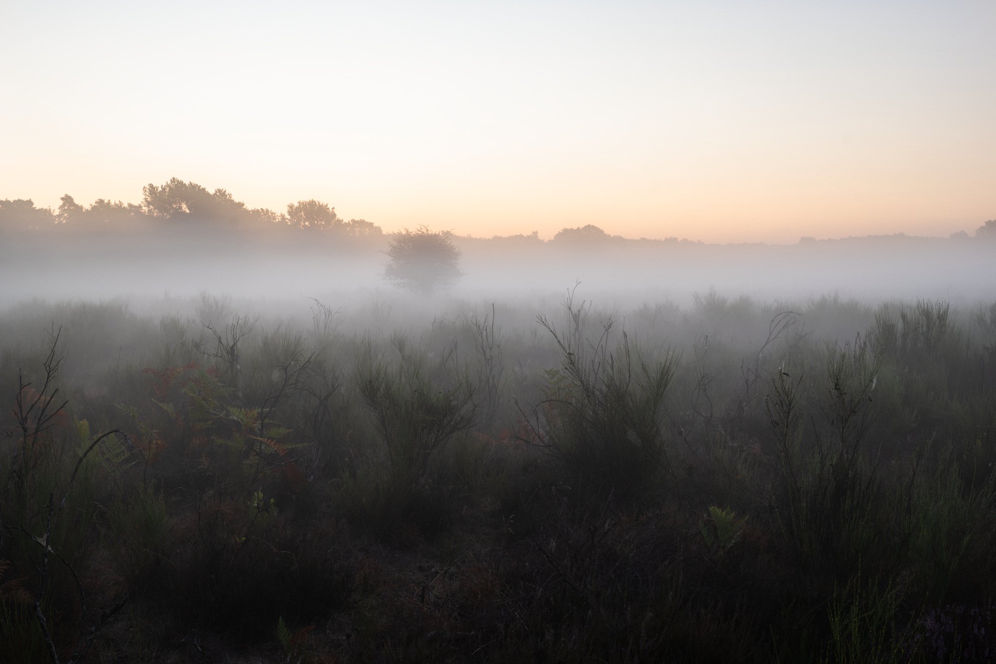 Trockener Nebel