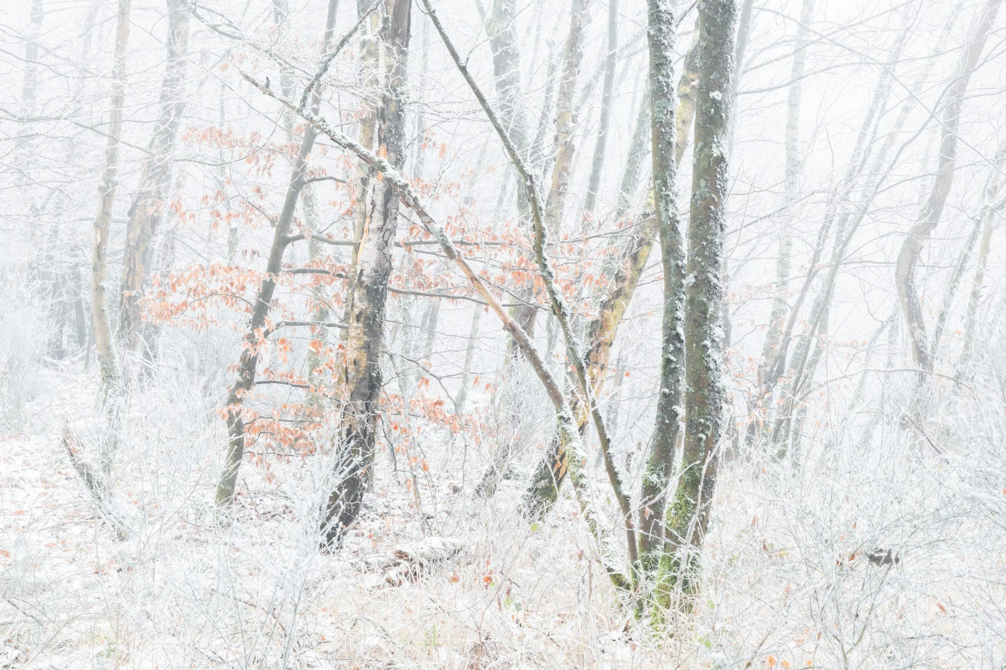 Videomittwoch: Noch immer Winter