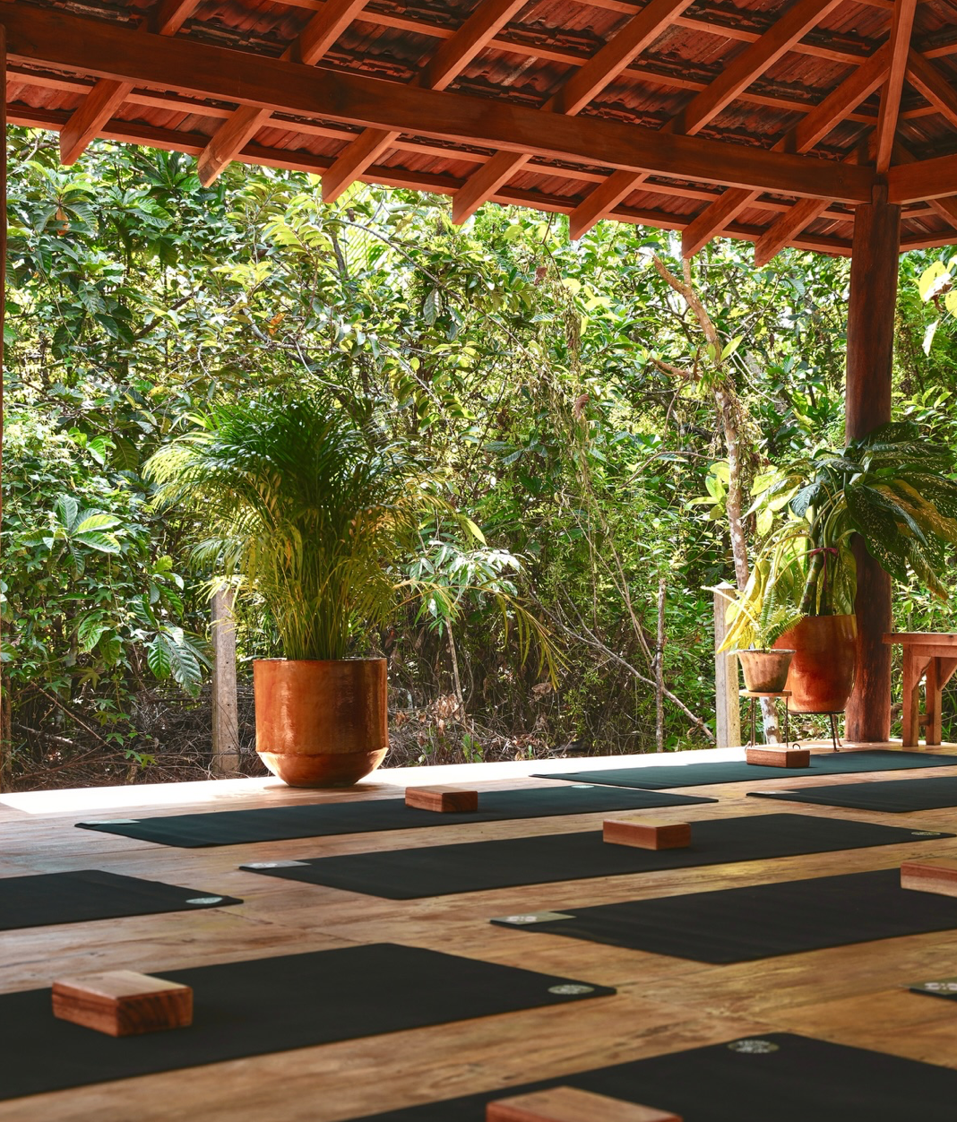 Screenshot 2026-01-26 at 10.37.54.png