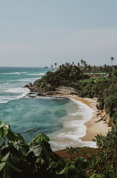 A scenic coastal view of a beach with waves, lush greenery, and palm trees on a sunny day.