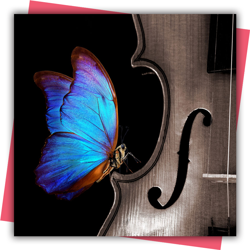 Vancouver Island Symphony: Dancing on Strings
