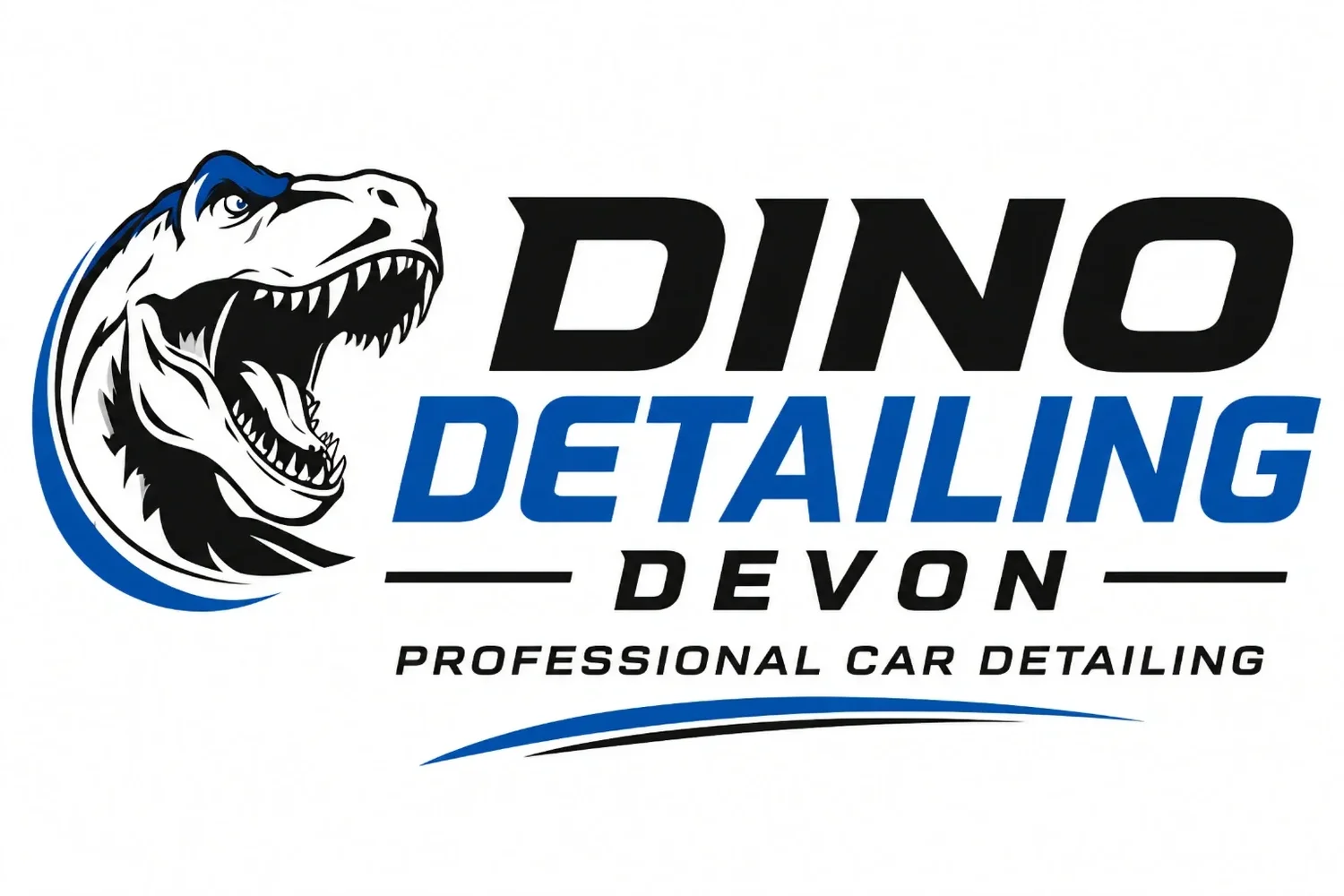 Dino Detailing