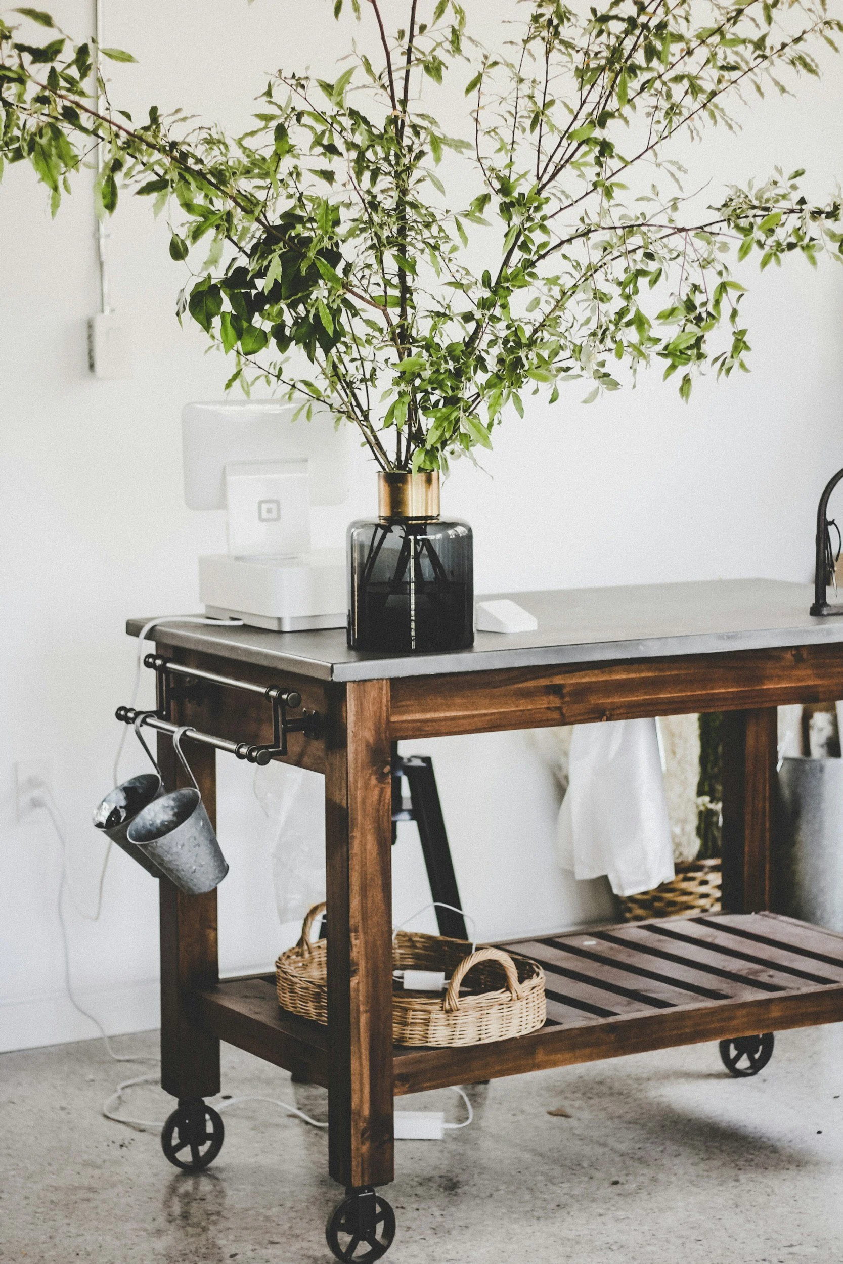 A wooden cart with wheels holding a large leafy green plant in a dark glass vase and a white coffee machine.
