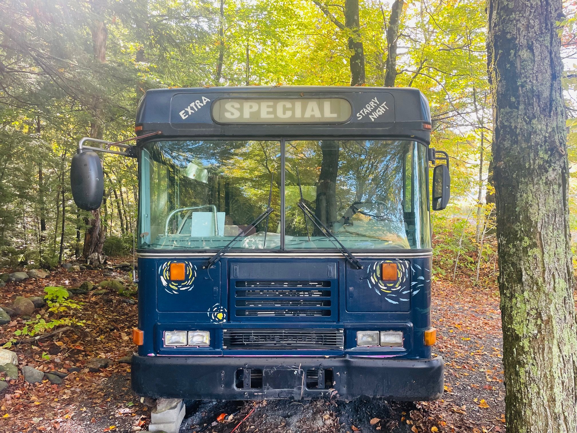A vintage blue bus with the word "SPECIAL" on the front display, parked on a forest trail with trees and fallen leaves surrounding it.