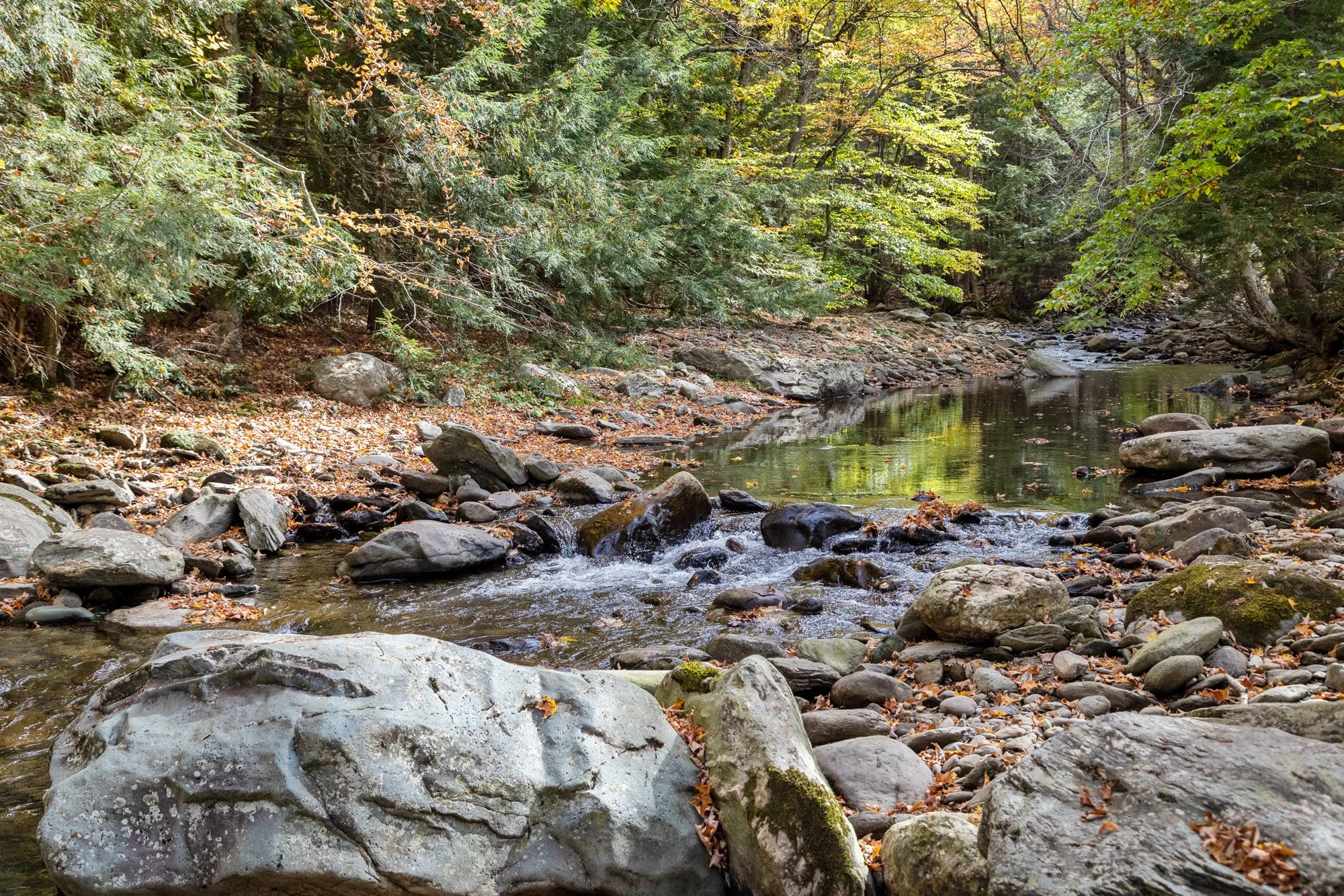 UA Fall-39.jpg