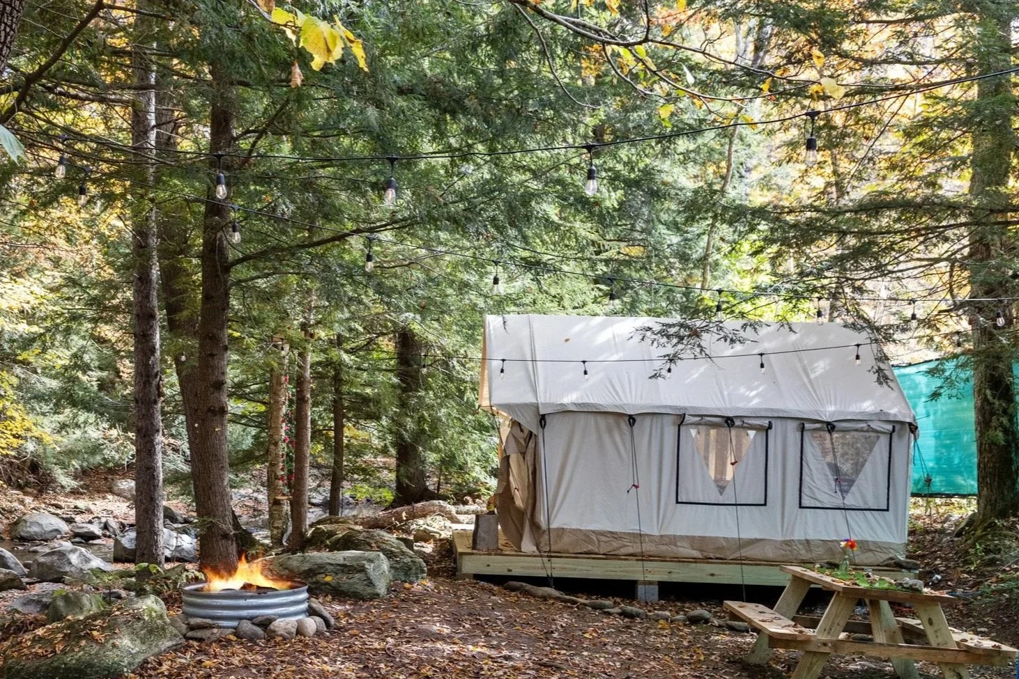 Enchanted Forest Tent