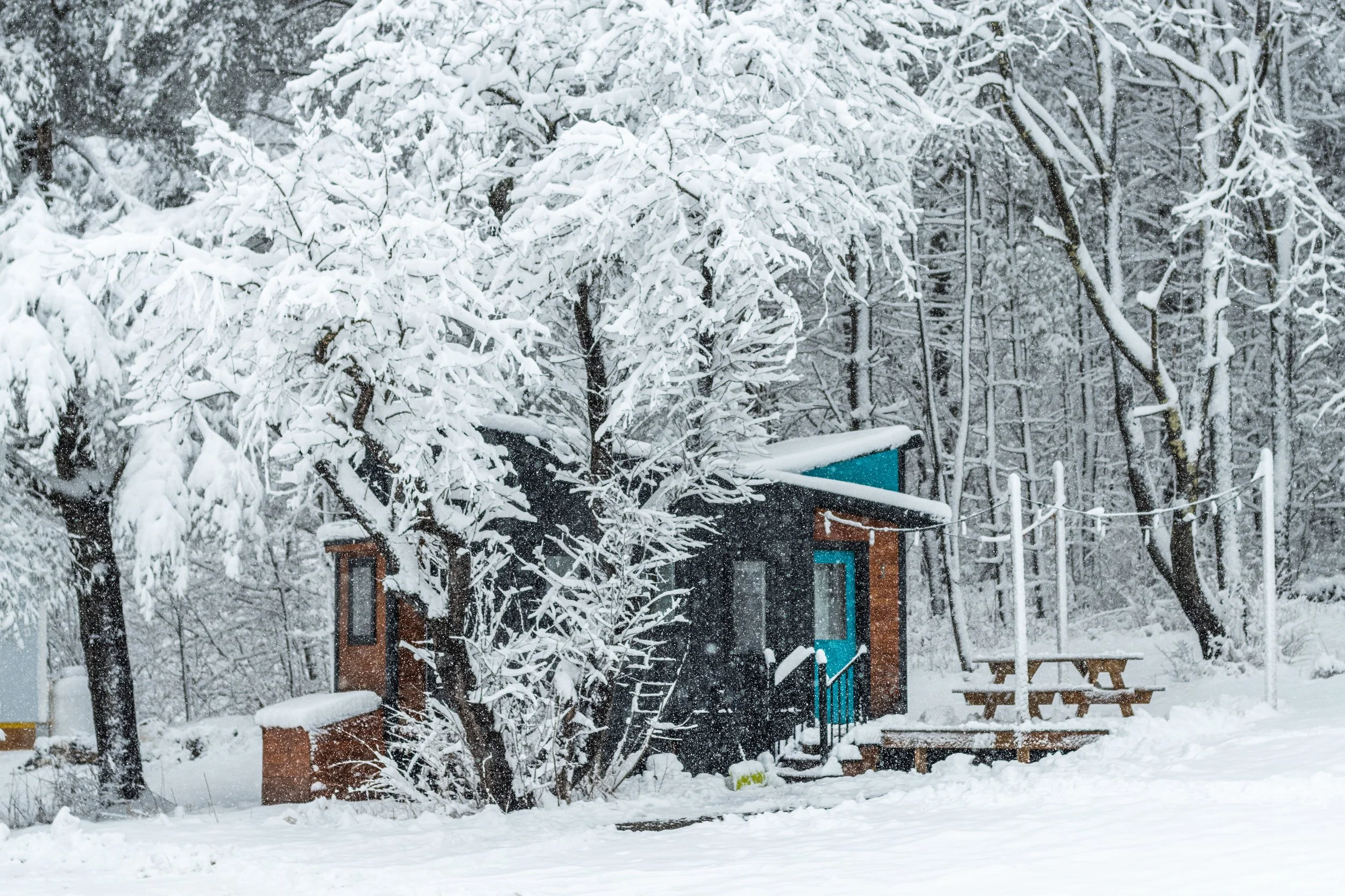 Snow-covered small house surrounded by trees and picnic tables in a winter landscape.