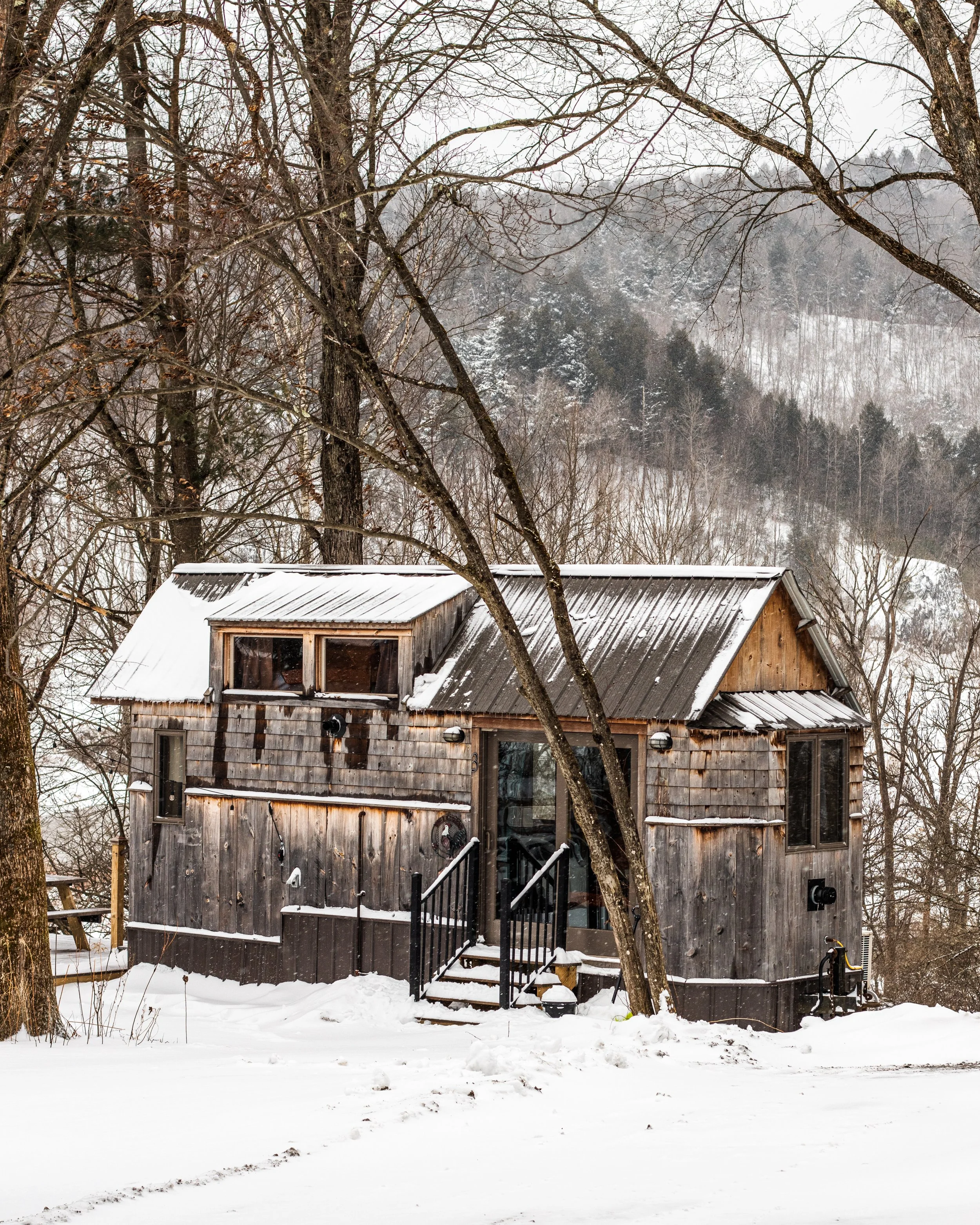 A rustic wooden house with snow on the roof and ground, surrounded by leafless trees and a snowy landscape, with hills in the background.