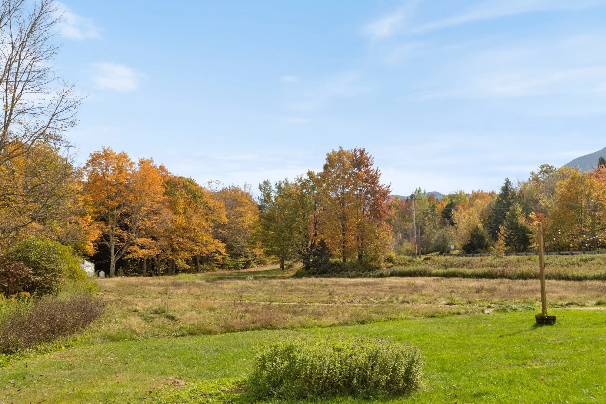 UA Fall-51.jpg