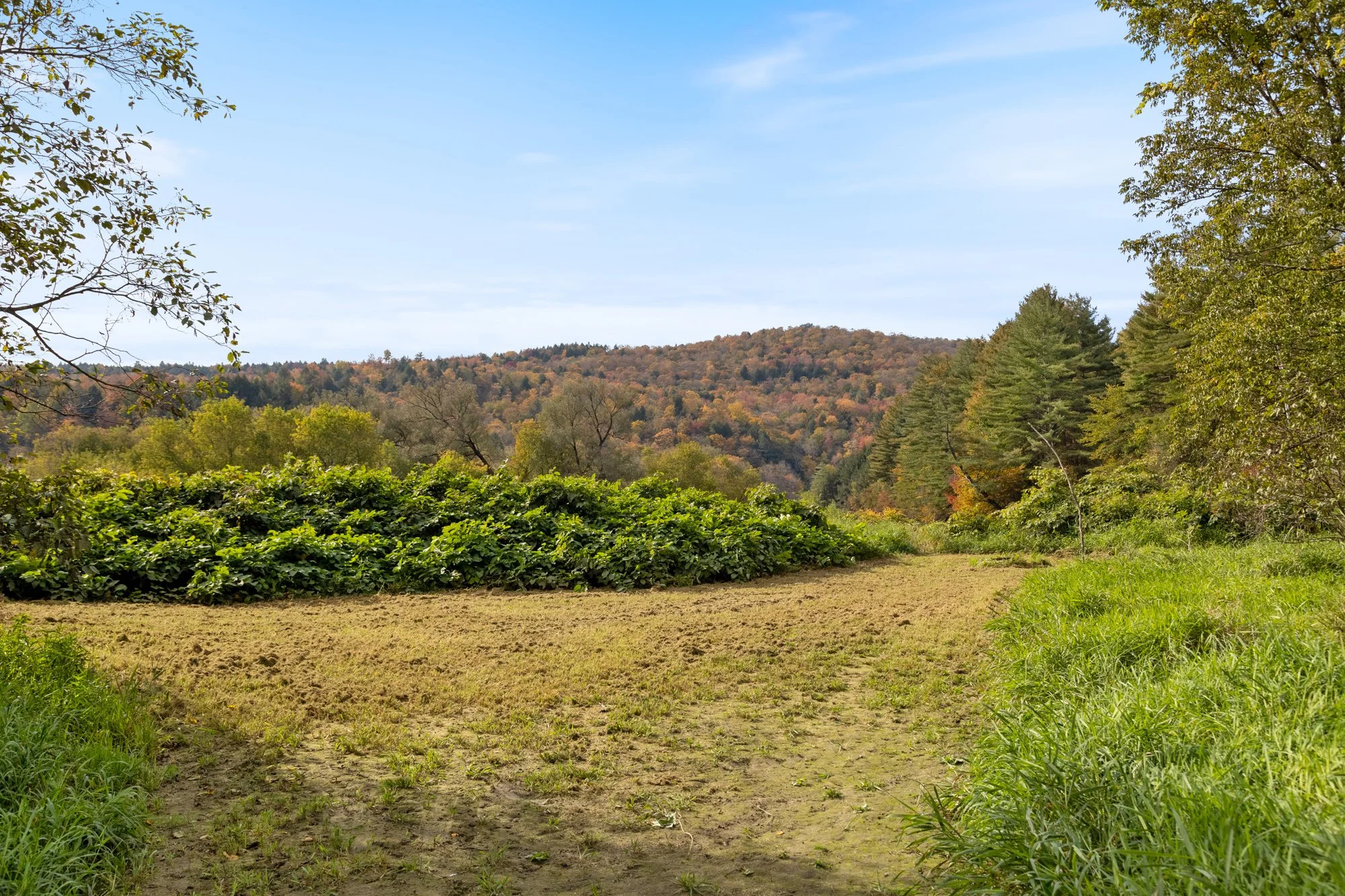 A dirt path leading into a green landscape with bushes and trees, and a hill covered in autumn foliage in the background under a partly cloudy sky.