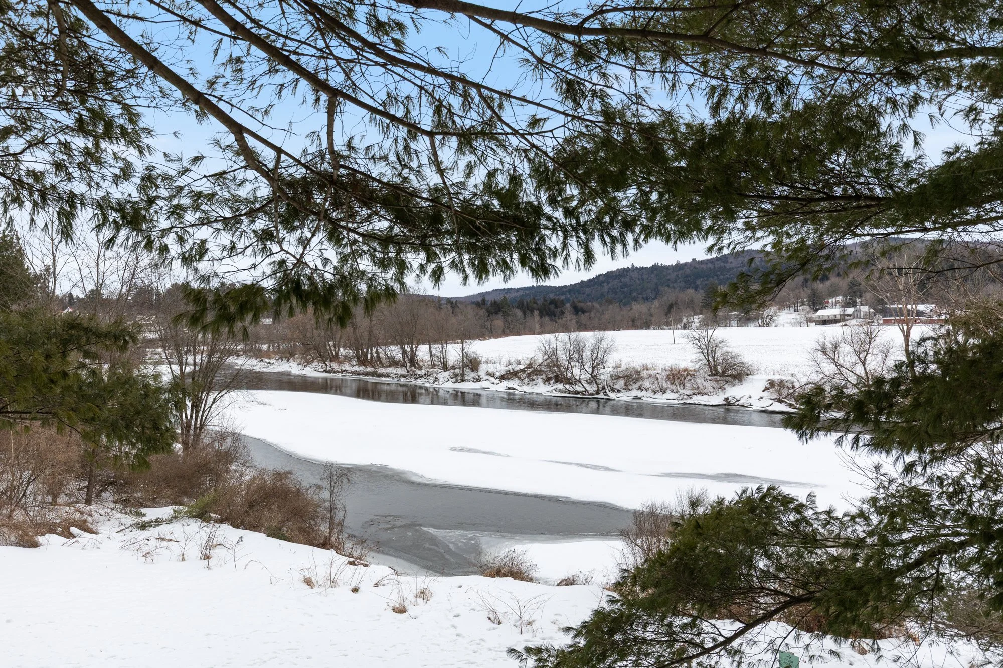 Treehouse Sauna-19.jpg