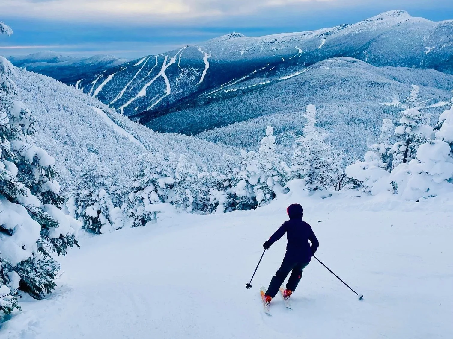 Person skiing down a snowy mountain trail surrounded by snow-covered trees with a mountain range in the background.