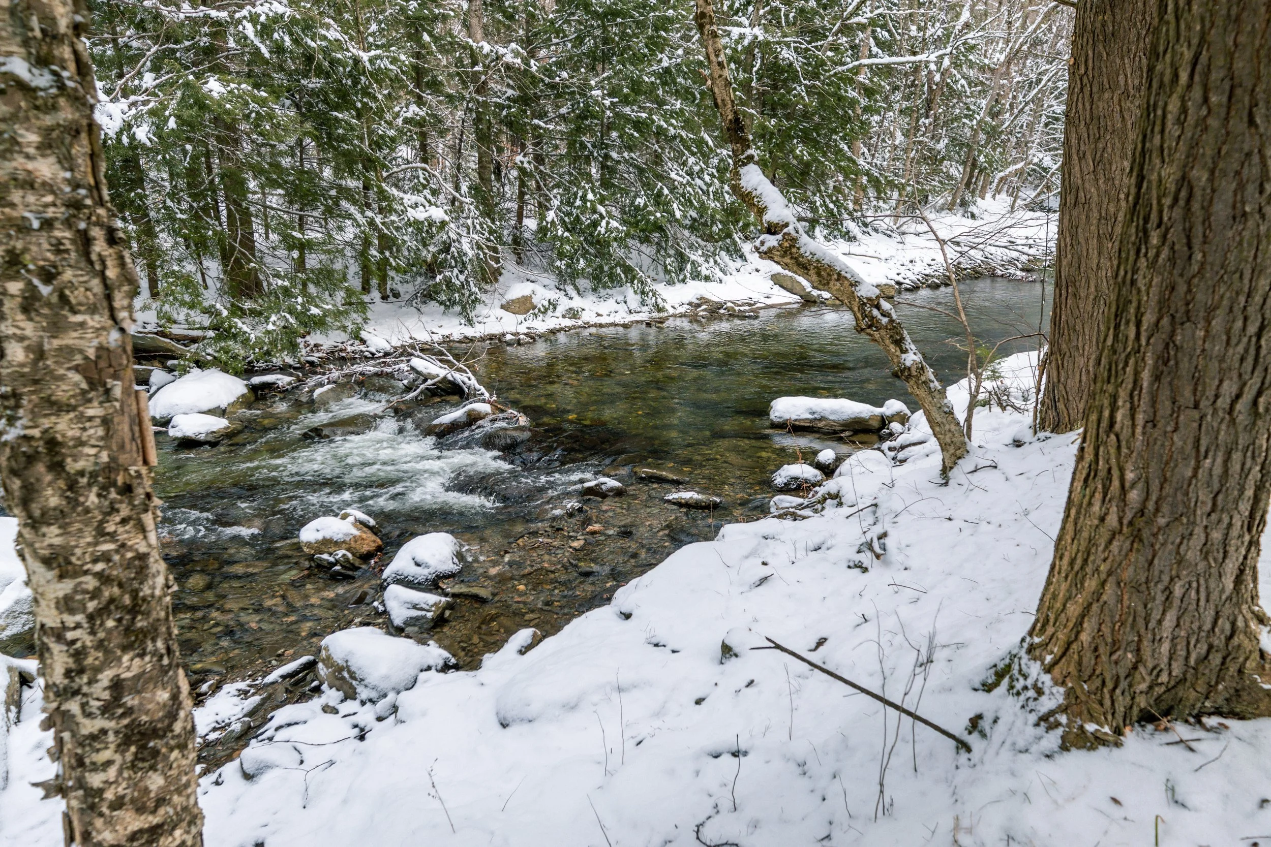 A snowy winter landscape featuring a gentle stream flowing through a forest with trees covered in snow.