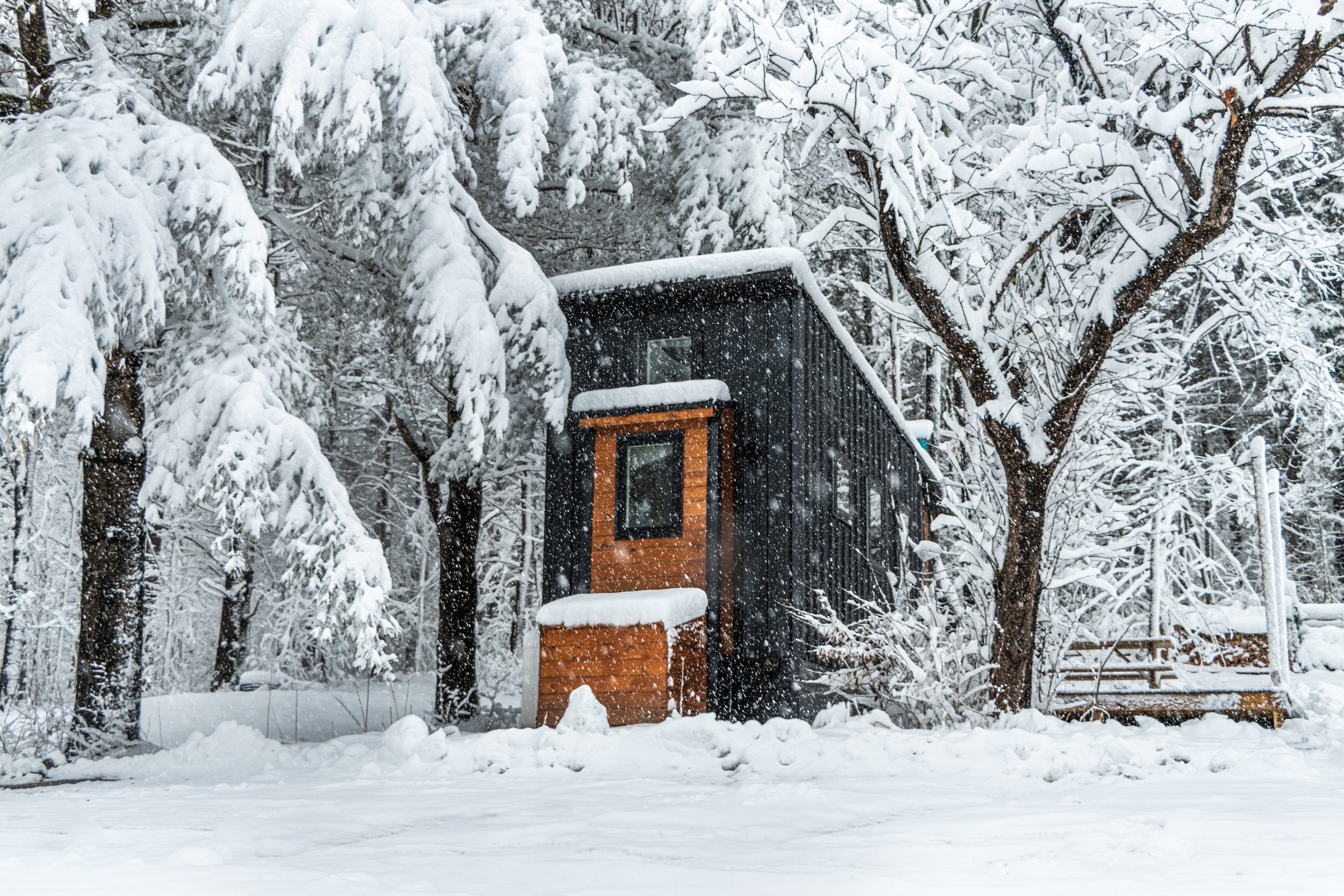 A small modern cabin with black siding and wooden accents, surrounded by snow-covered trees during a snowstorm.