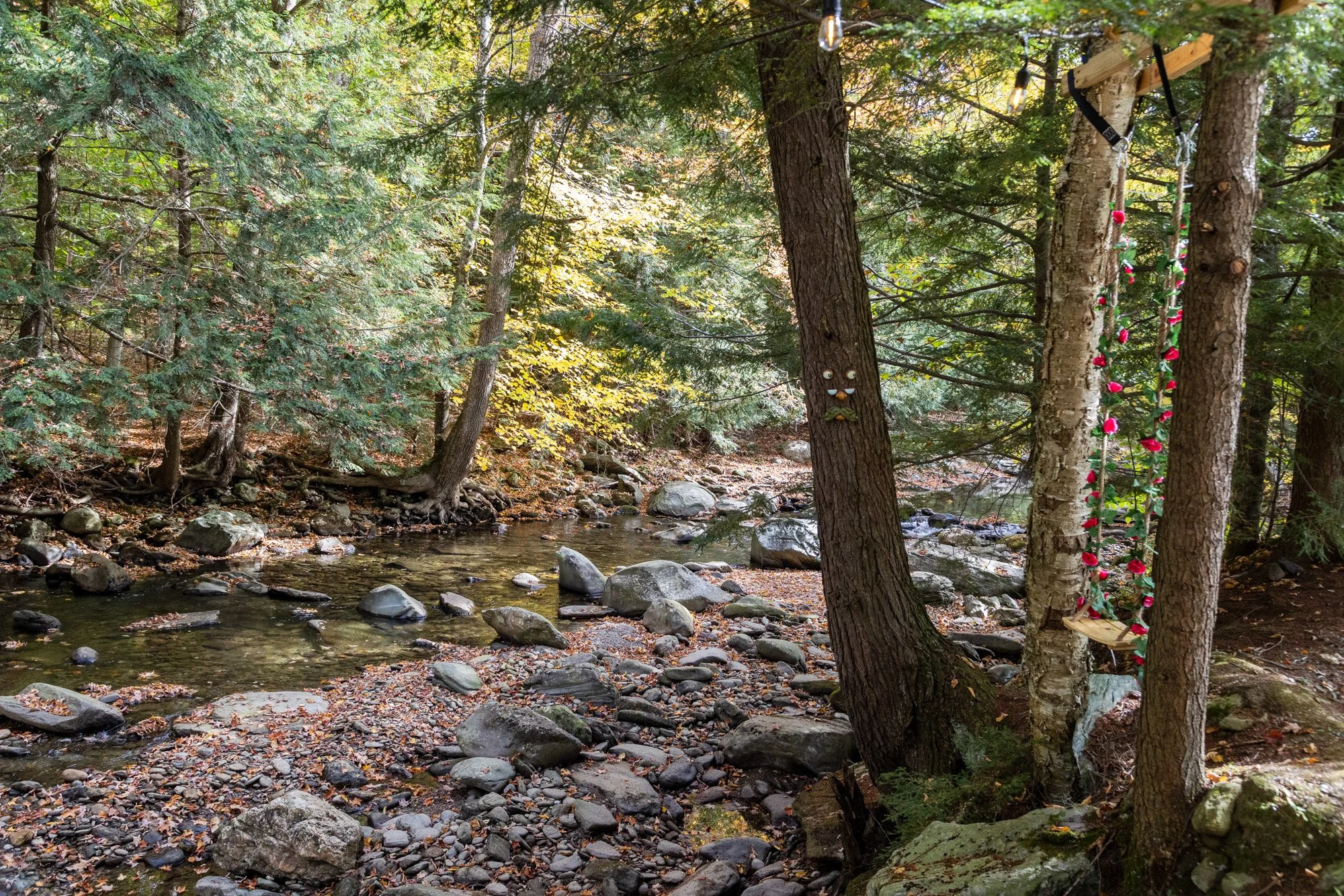 UA Fall-38.jpg