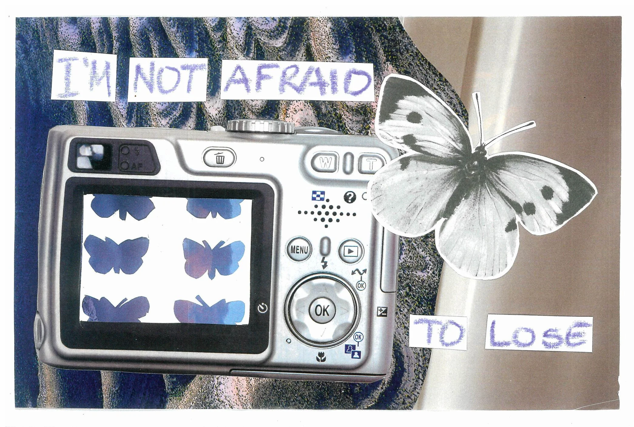 I'm Not Afraid to Lose