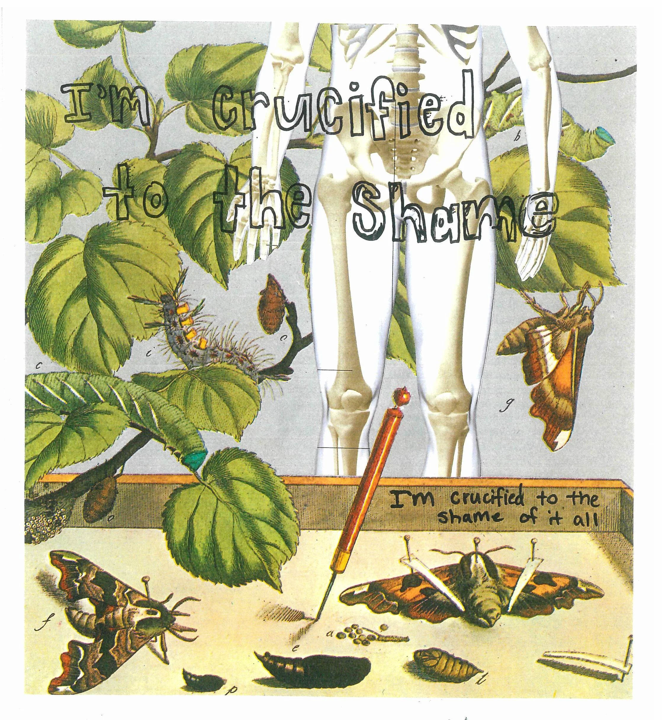 Pinned to the Moment