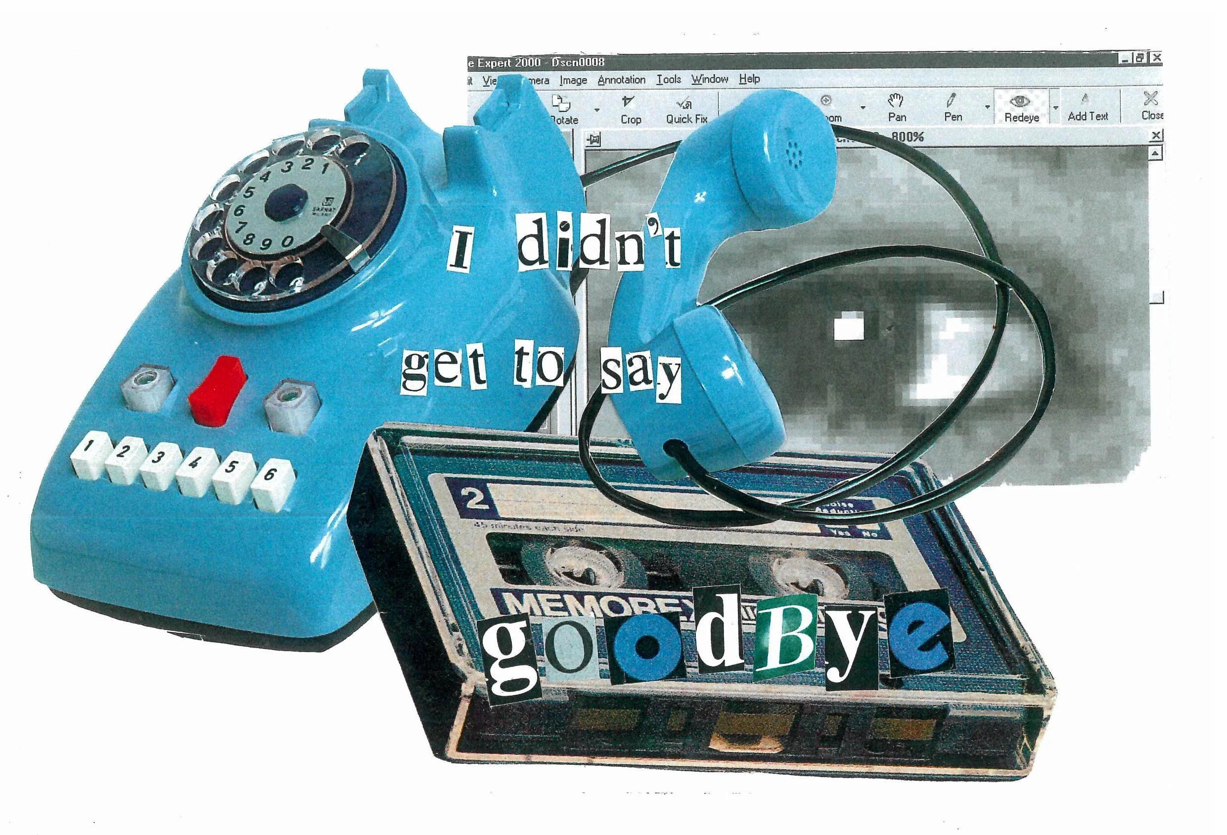 I Didn't Say Goodbye