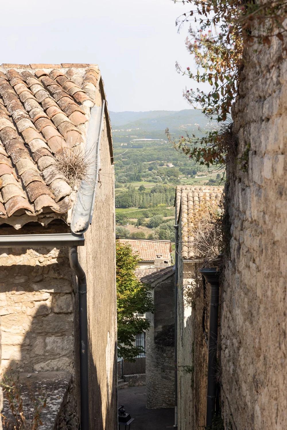 Views from Lacoste France