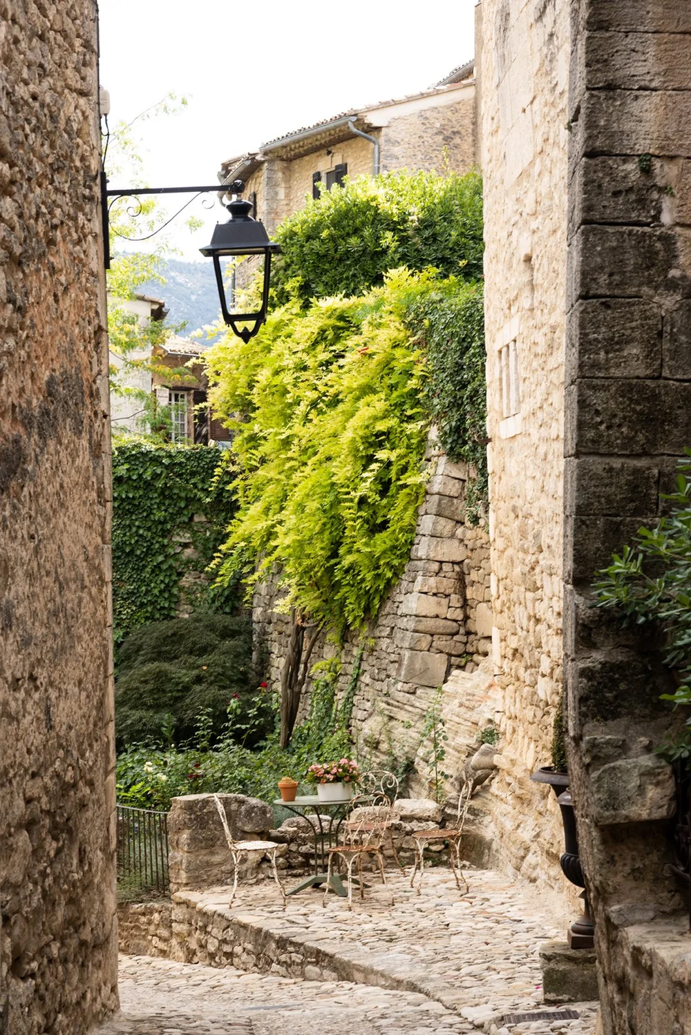 Little garden covered in ivy in Lacoste France