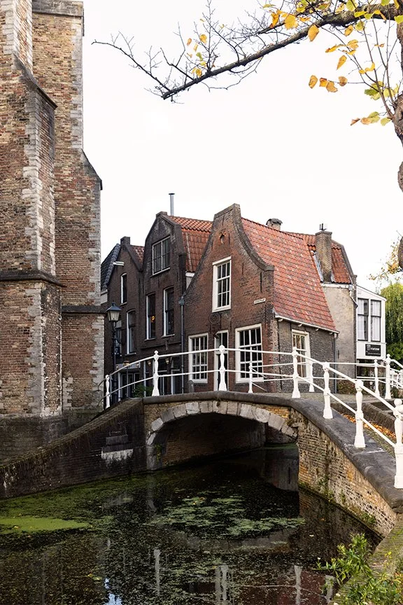 Vrouwe-van-Rijnsburger-Bridge-delft-netherlands.jpg