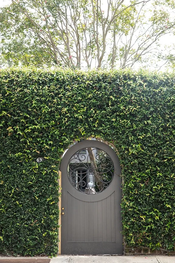 Gate set into ivy covered fence on Tradd Street
