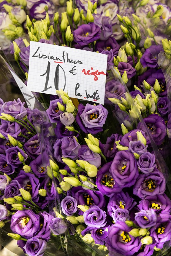 Flowers-MarketL'Isle-sur-la-Sorgue.jpg