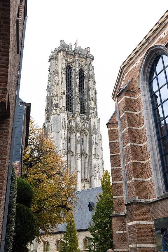 St. Rumbold's Cathedral in Mechelen