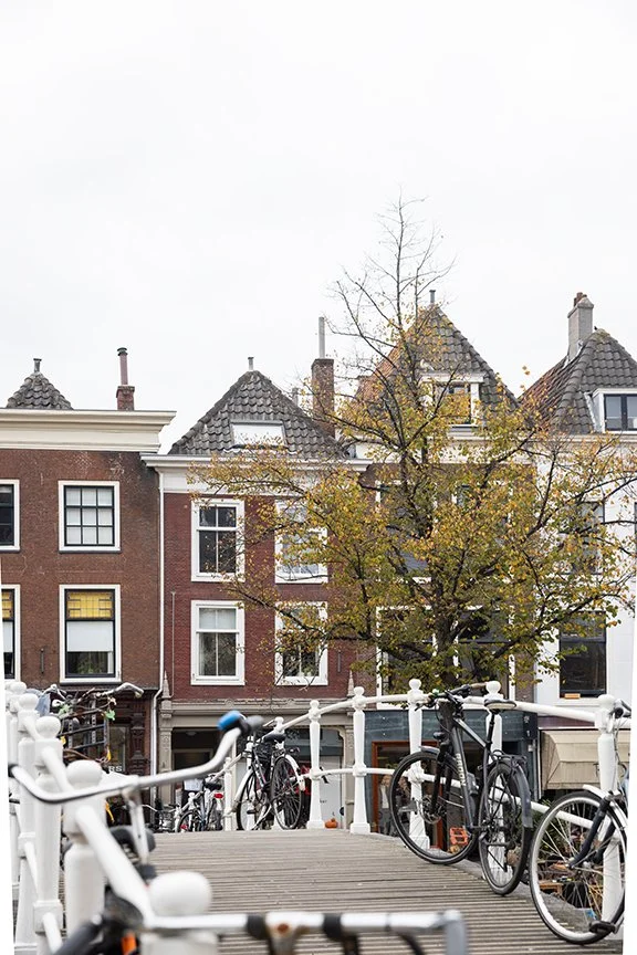 Sint Sebastiaansbrug in Leiden, The Netherlands