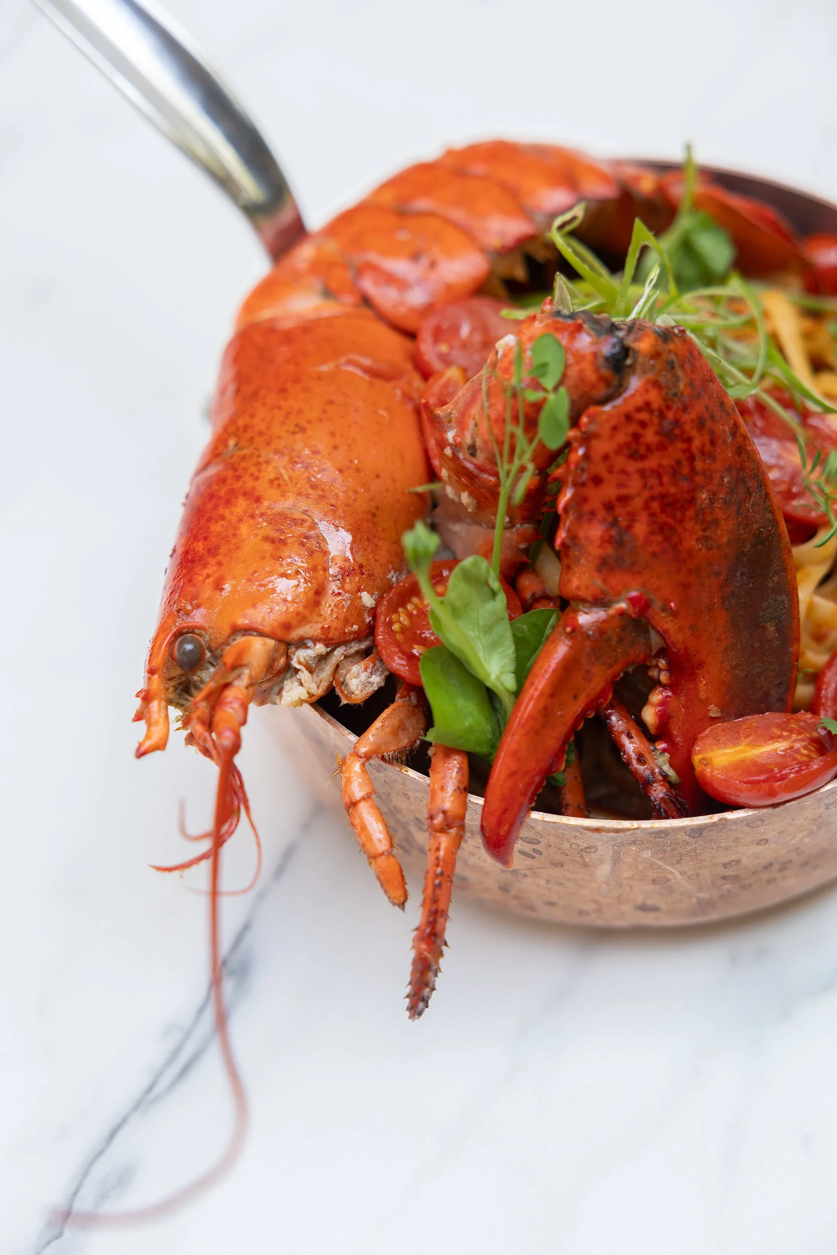 Lobster linguine at La Fontaine Restaurant in Place aux Herbes, Uzes, France
