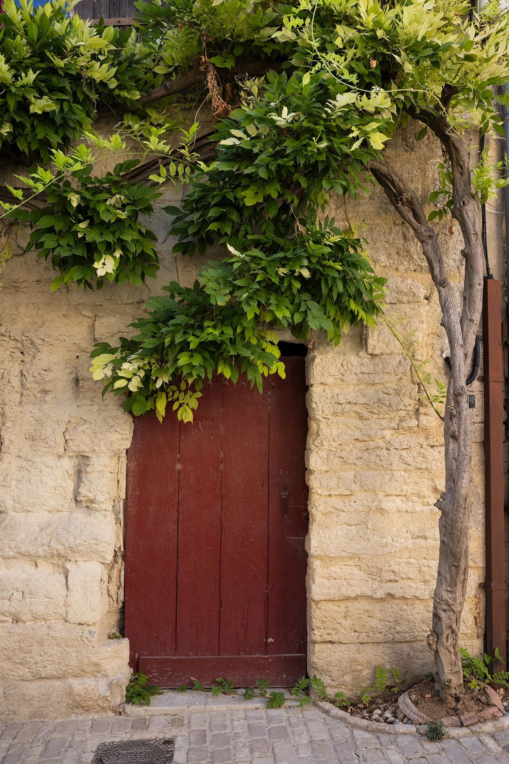 Door on Rue Plan de l'Oume, Uzes France