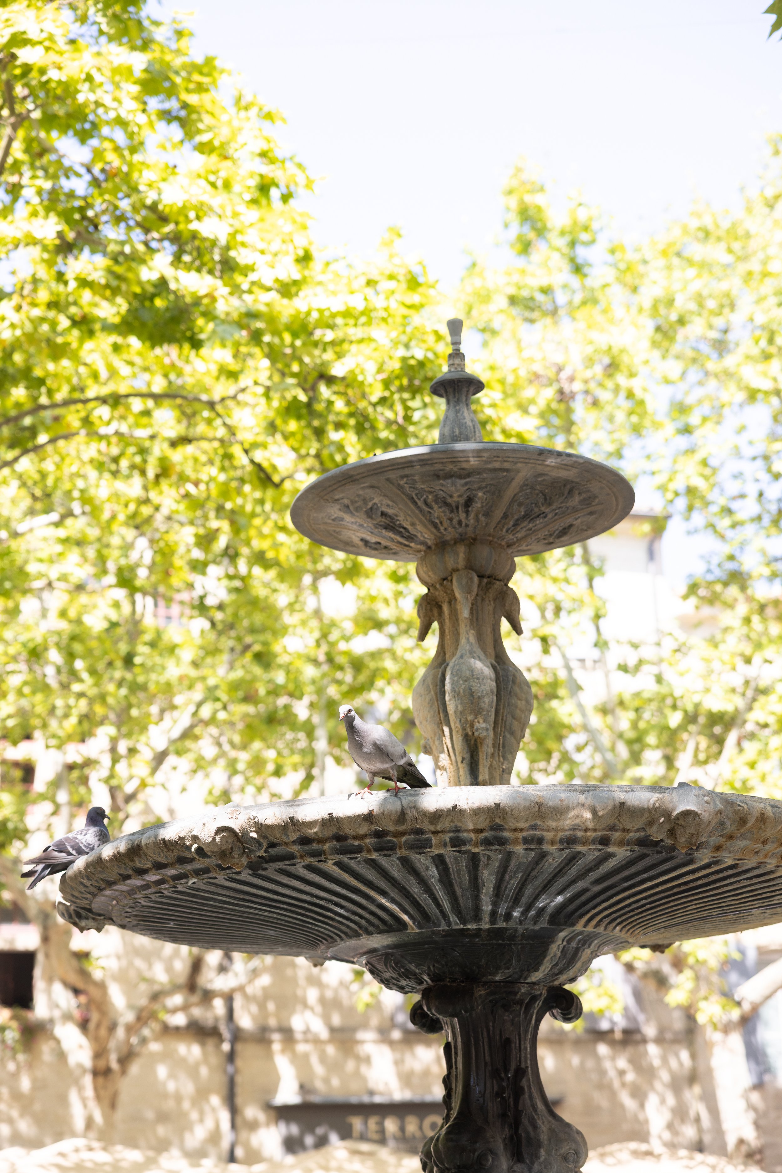 Fountain in Place aux Herbes, Uzes, France