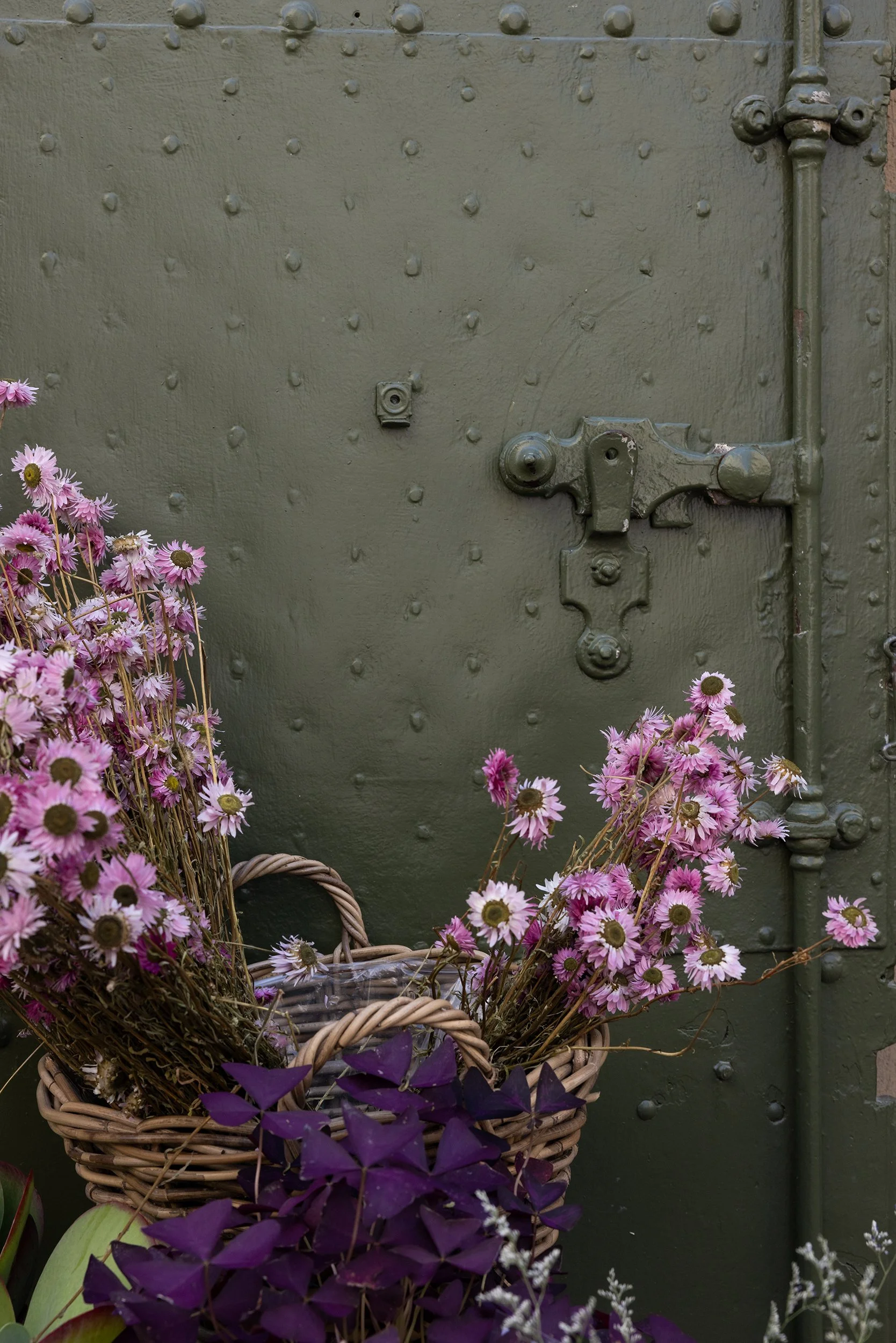 Flowers in Uzes, France