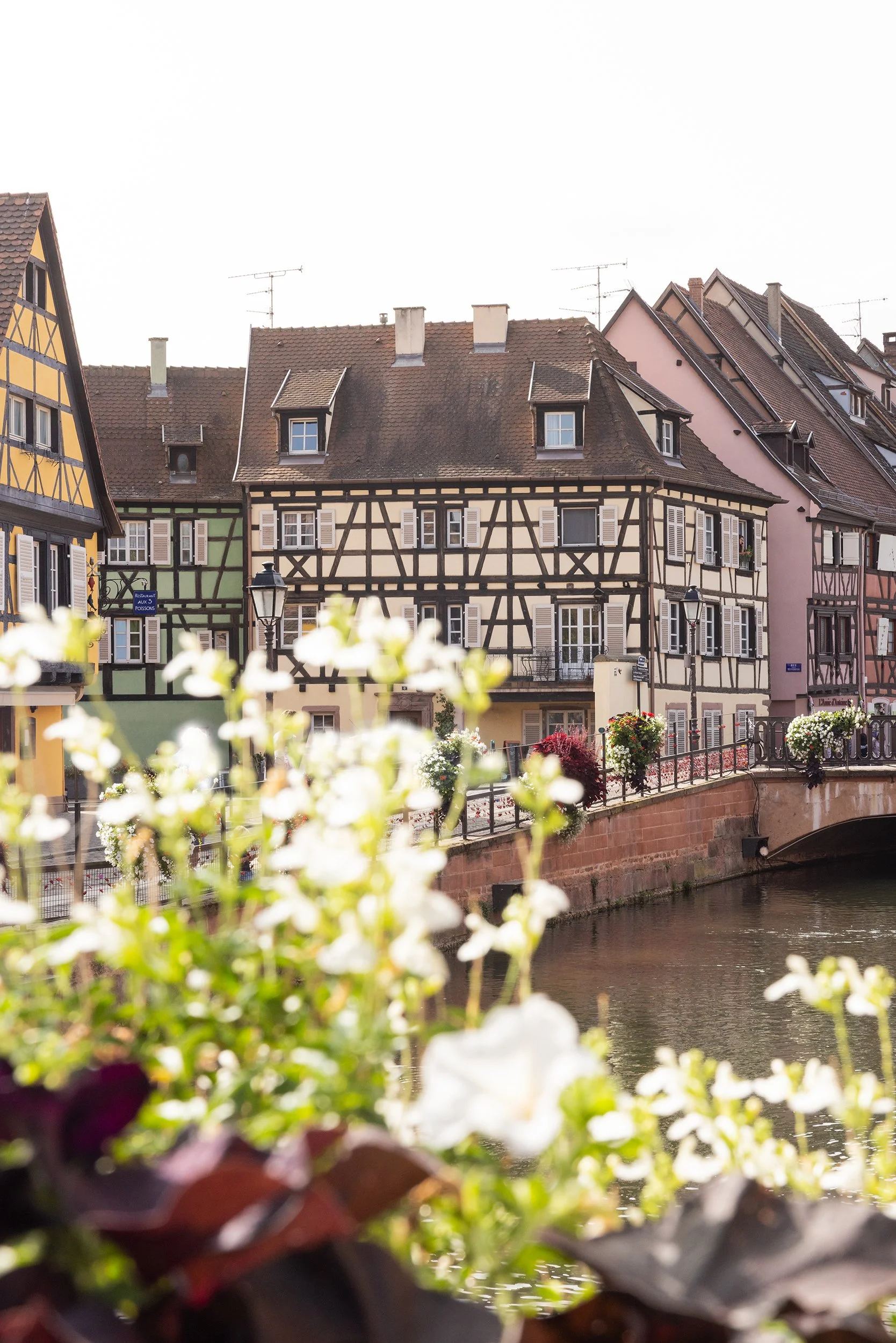 Little-Venice-Colmar-France.jpg
