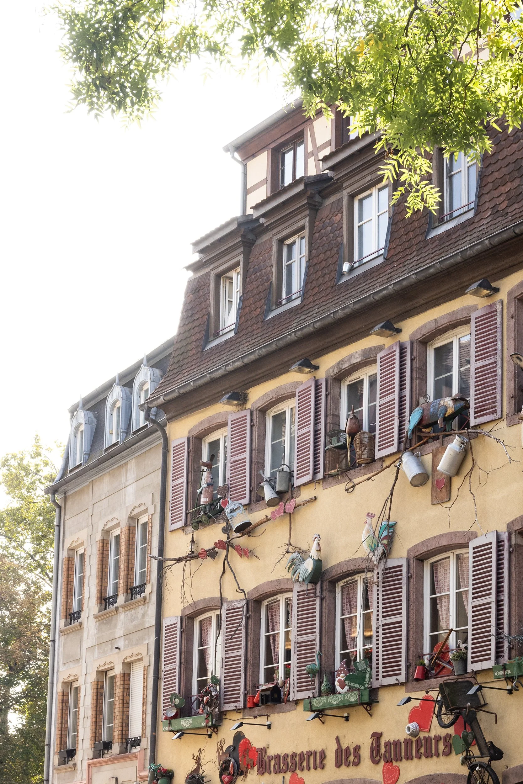 Brasserie des Tanneurs in Colmar, France
