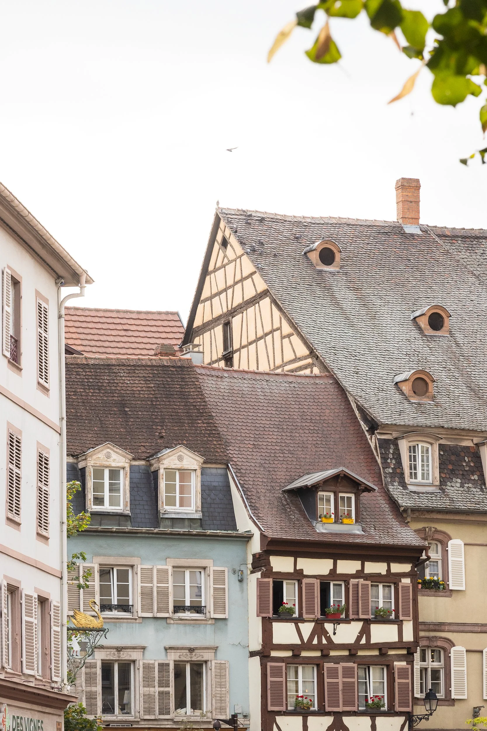 Rue des Tétes, Colmar, France