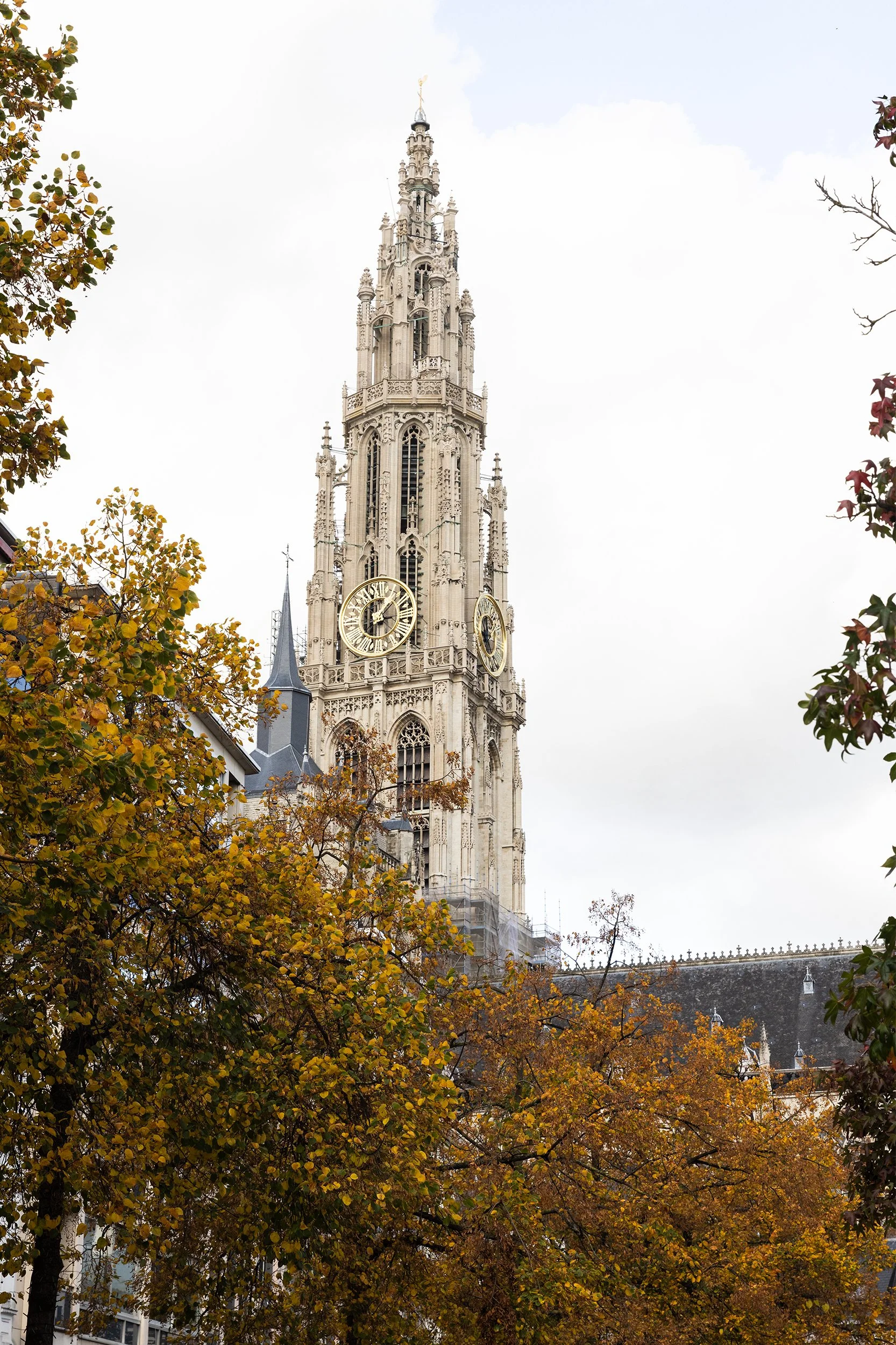 Cathedral-of-Our-Lady-Antwerp-Belgium.jpg