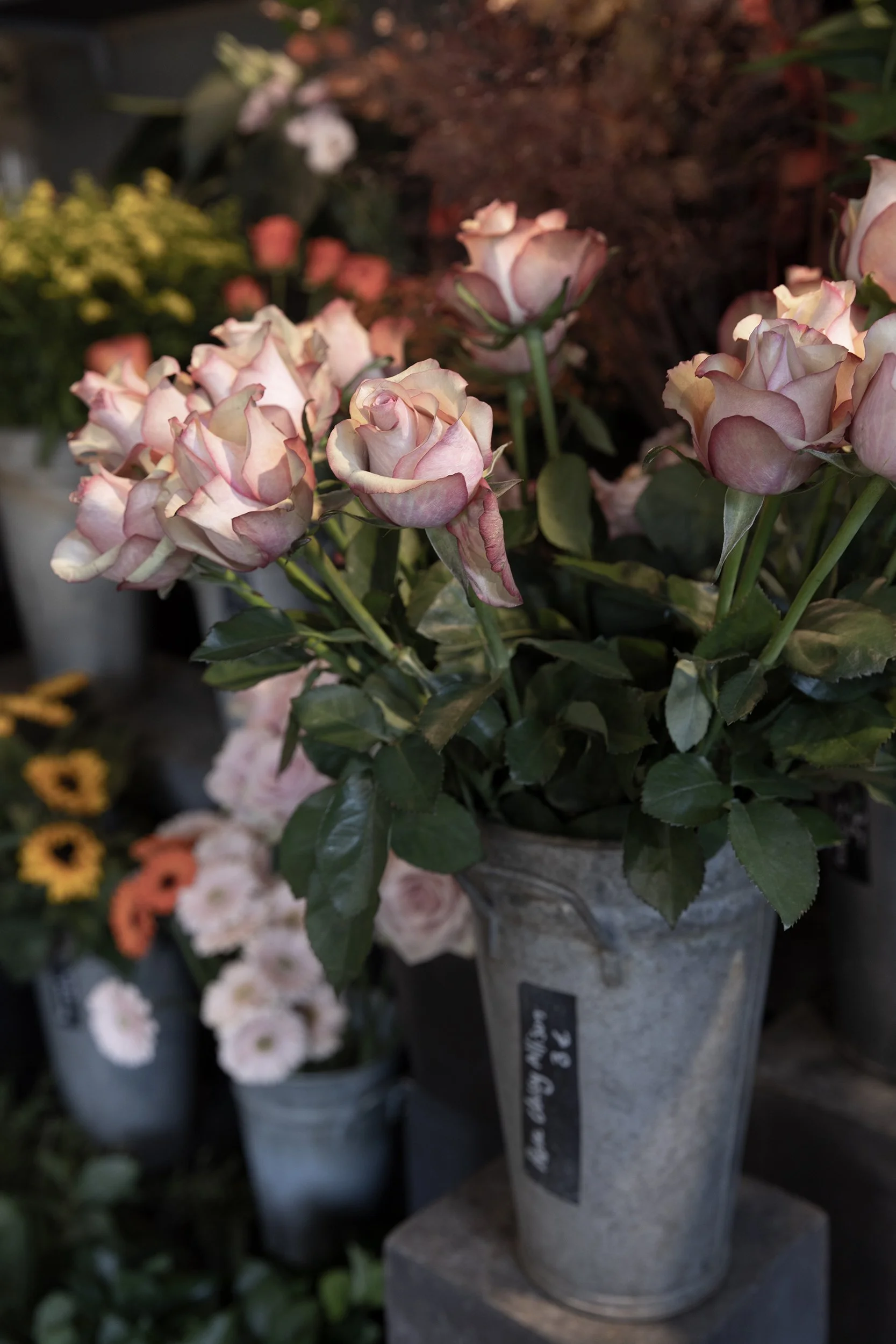 Alchimie Fleurs, Lille, France