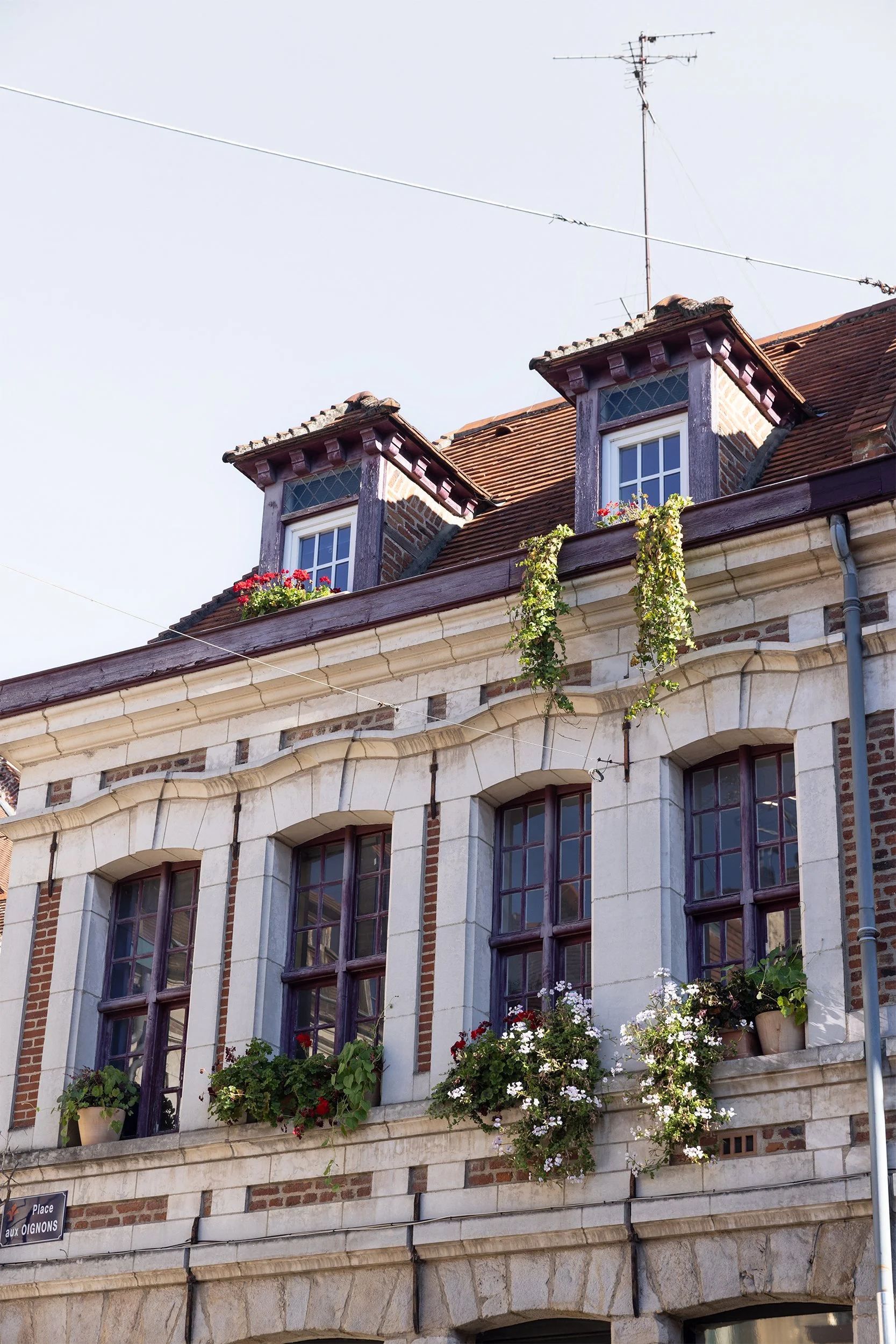 Place aux Oignons, Lille, France