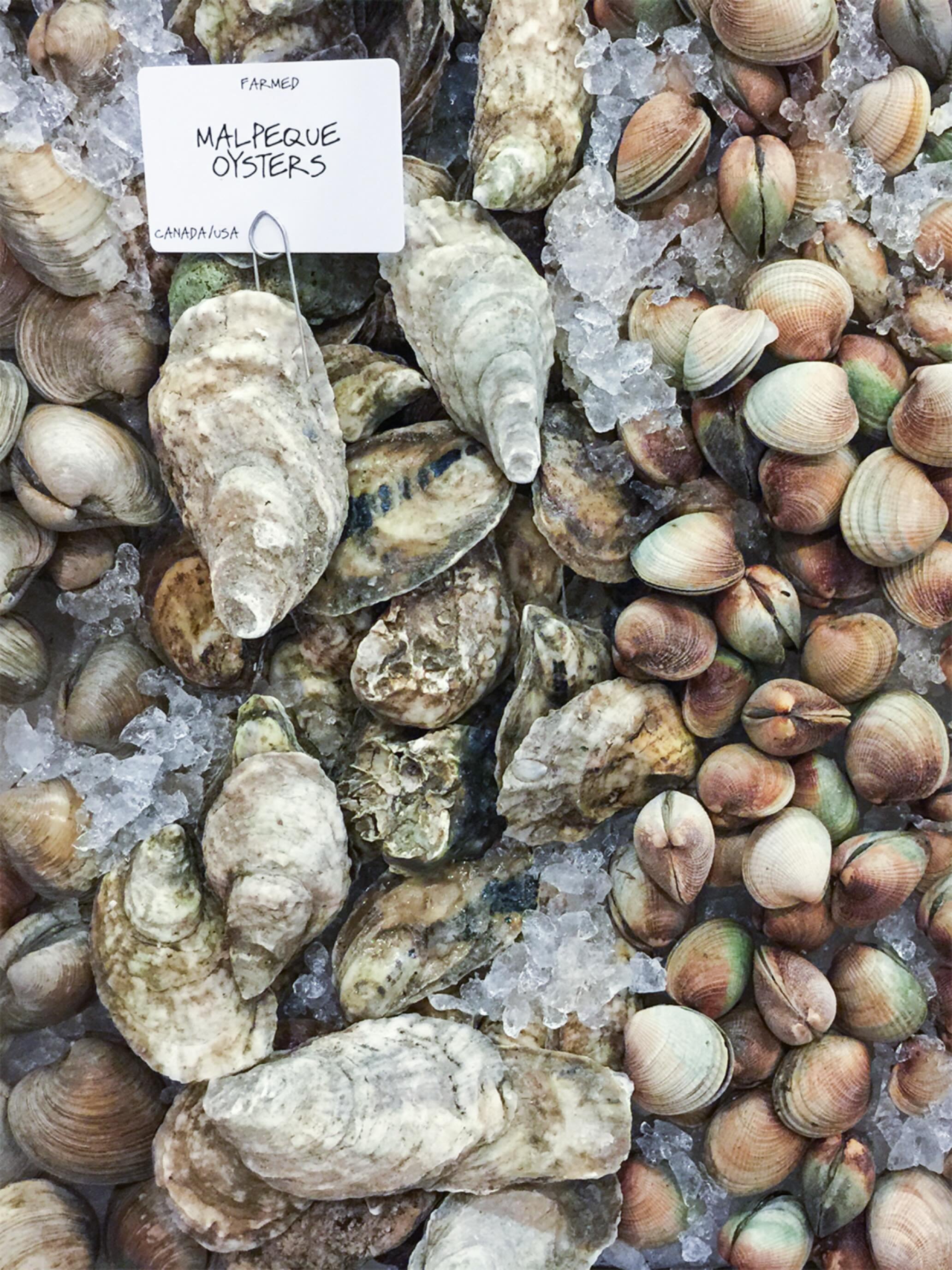 The seafood counter at Eataly NYC&mdash;oysters and clams on ice, looking impossibly fresh. Should&rsquo;ve grabbed a seat at the raw bar - next time.

#EatalyNYC #Oysters #foodietravel #NYCEats #NewYorkEats