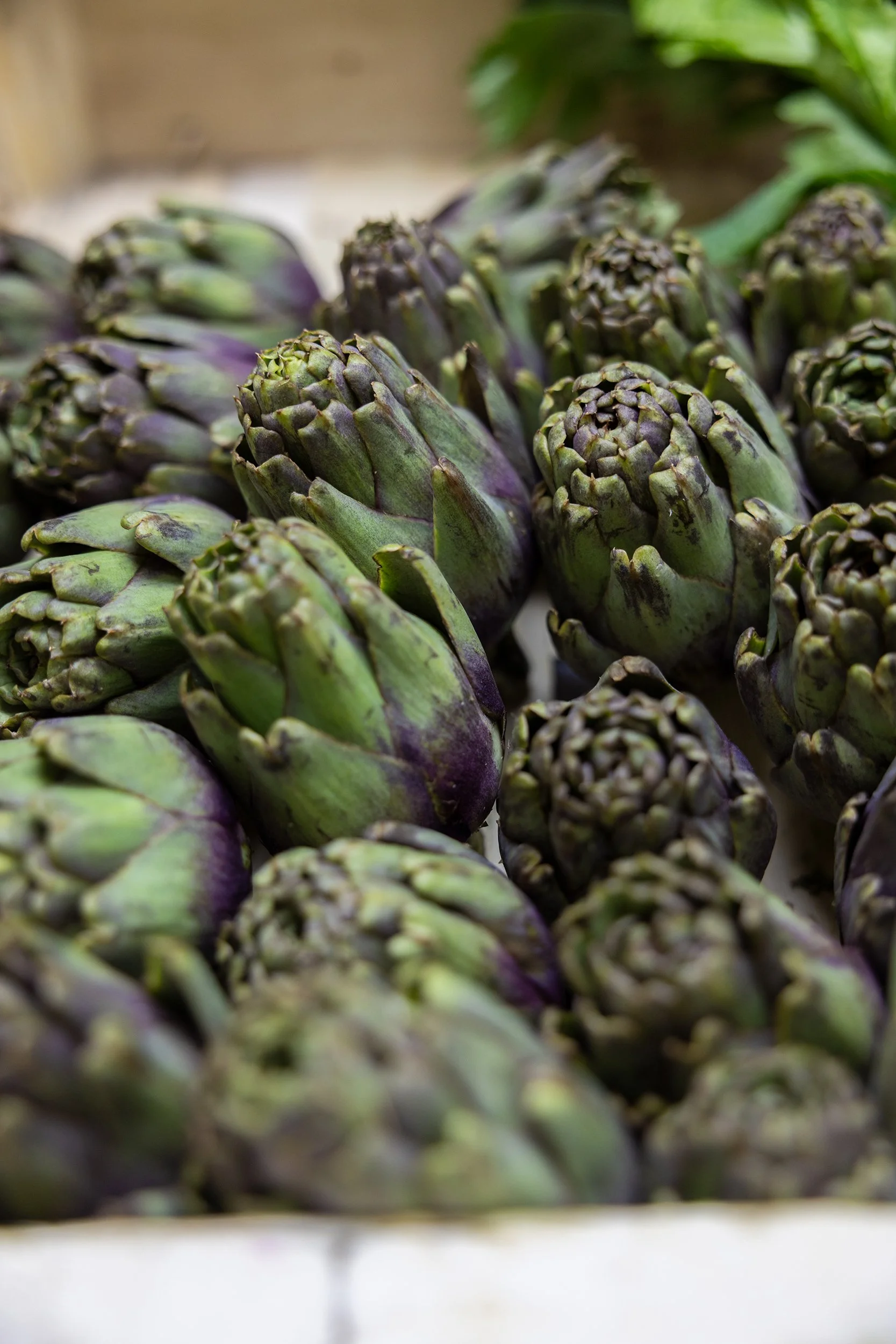 Artichokes at Les Halles d'Avignon