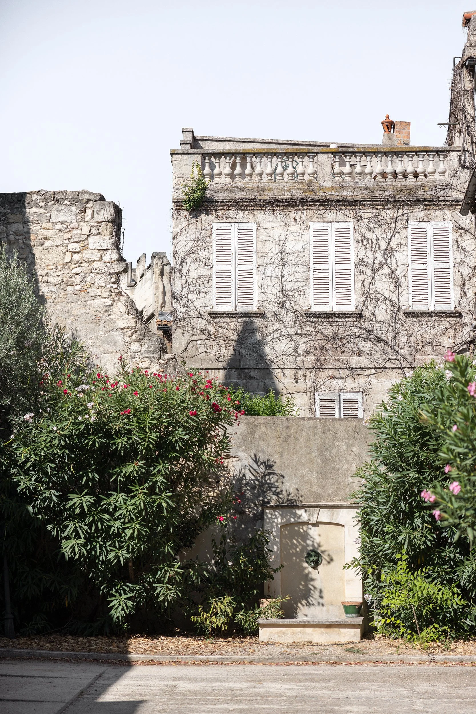 garden wall hidden behind a gate on Rue du Vice Légat