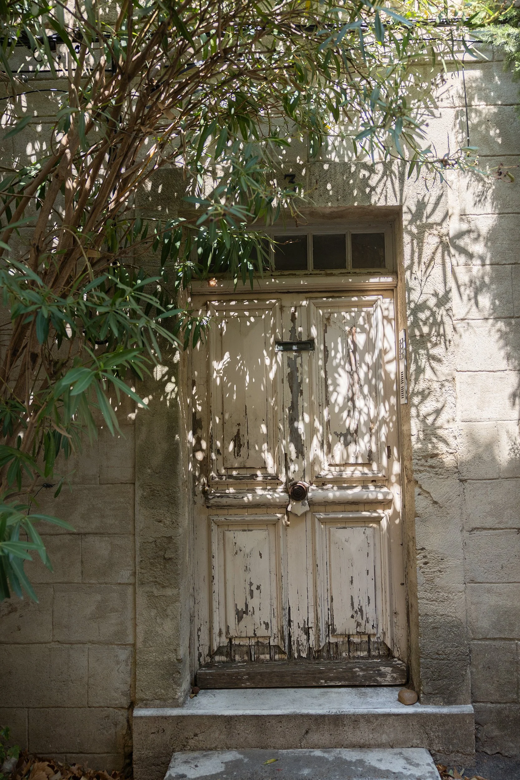 Door on Rue Mont du Fort in Villeneuve-lès-Avignon