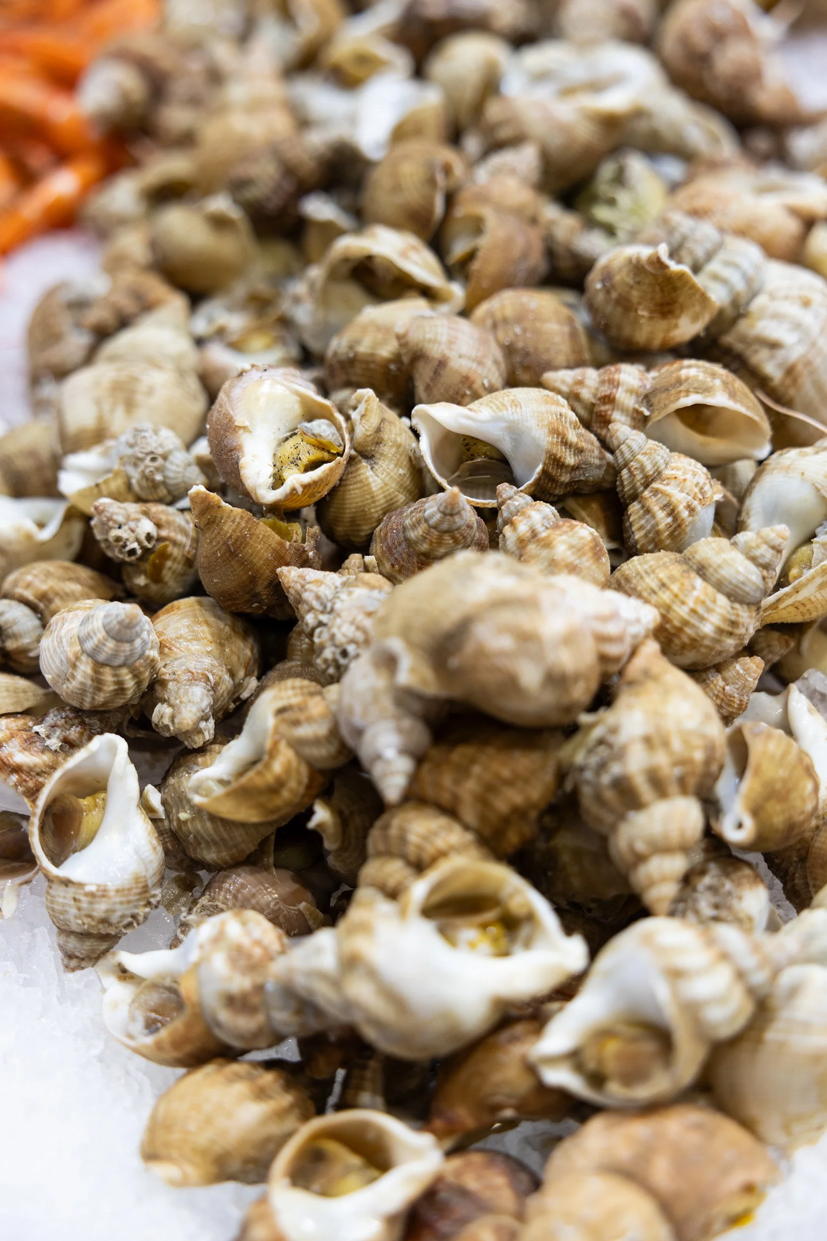 Seafood display at Les Halles d'Avignon indoor market