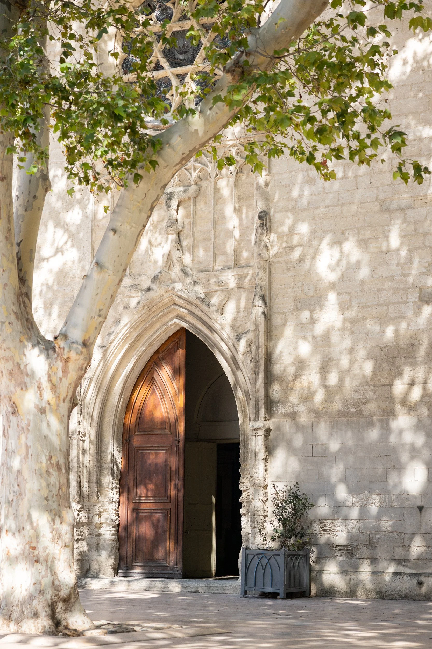 Saint Symphorien les Carmes church, Avignon