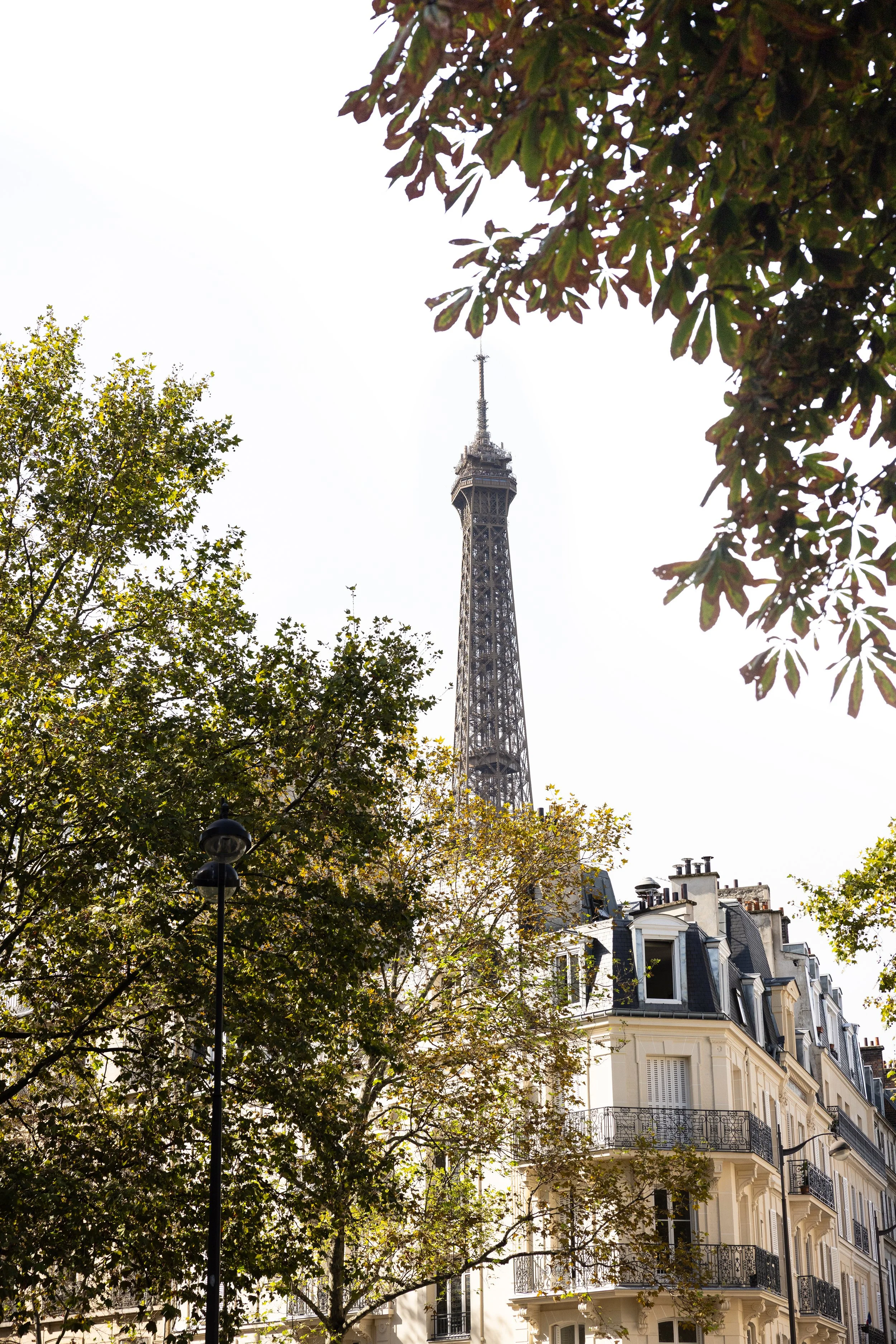Corner of Rue de l'Université and Avenue Rapp