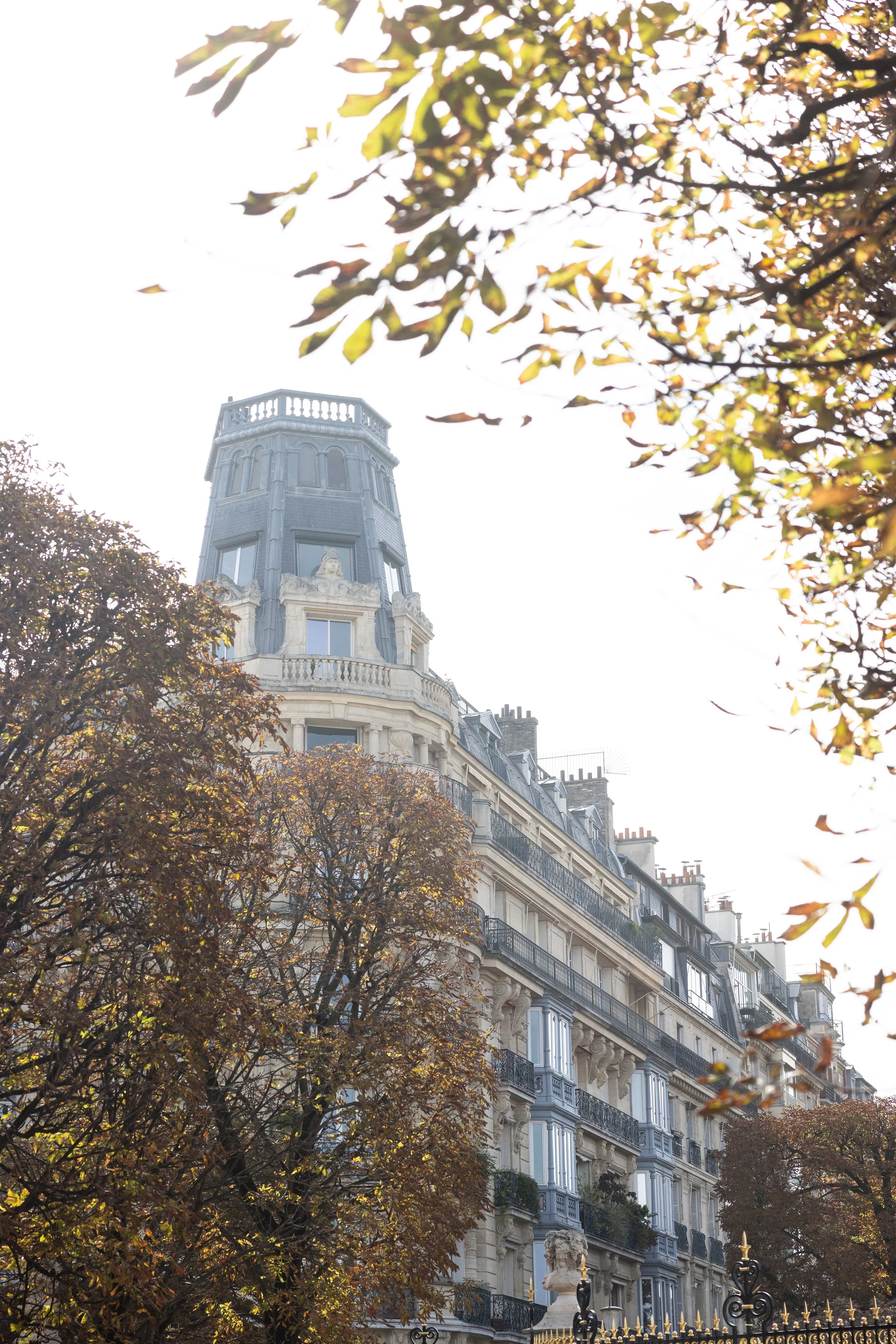 Rue Auguste Comte, Paris