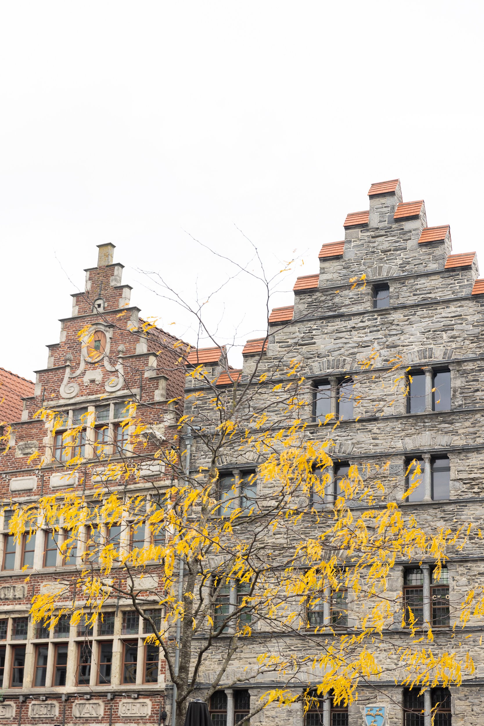 Borluutsteen, a historic Romanesque stone house (steen) located on the Korenmarkt (Copy)