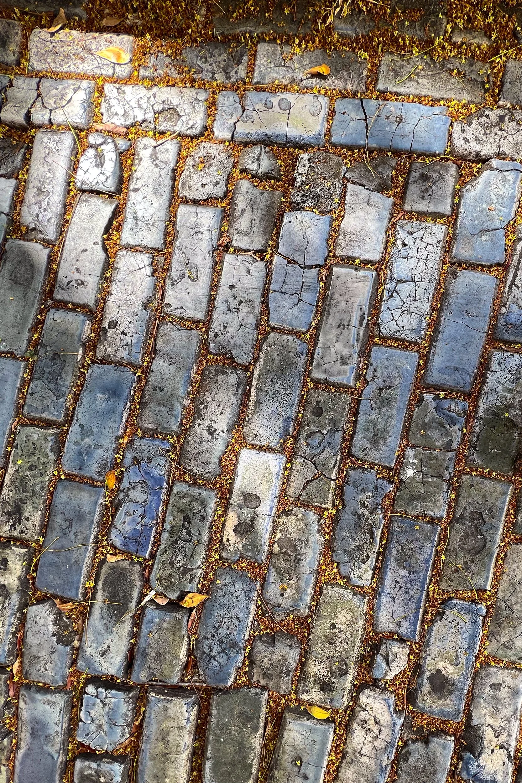 Blue cobblestones (adoquines), Old San Juan, Puerto Rico